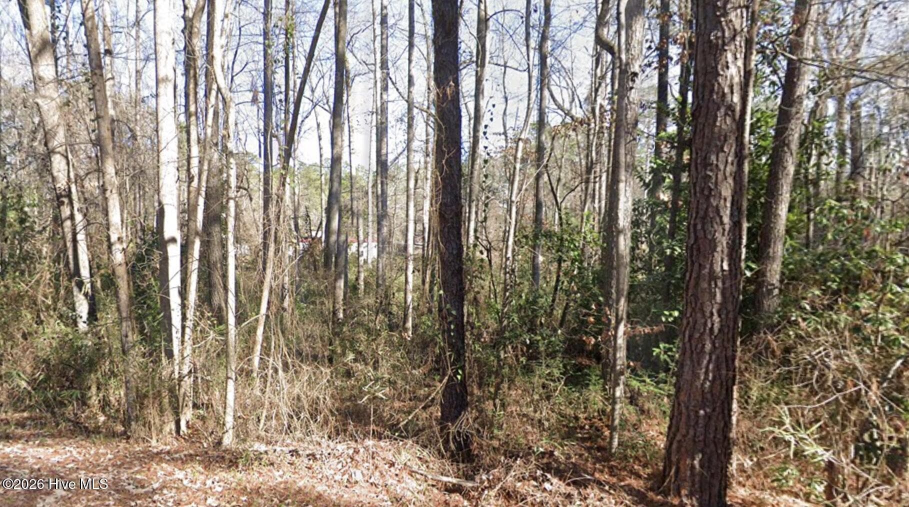 Residential Lot at 1669 10 Rainey Drive, Spring Lake, NC 28390, photo 2 of 7