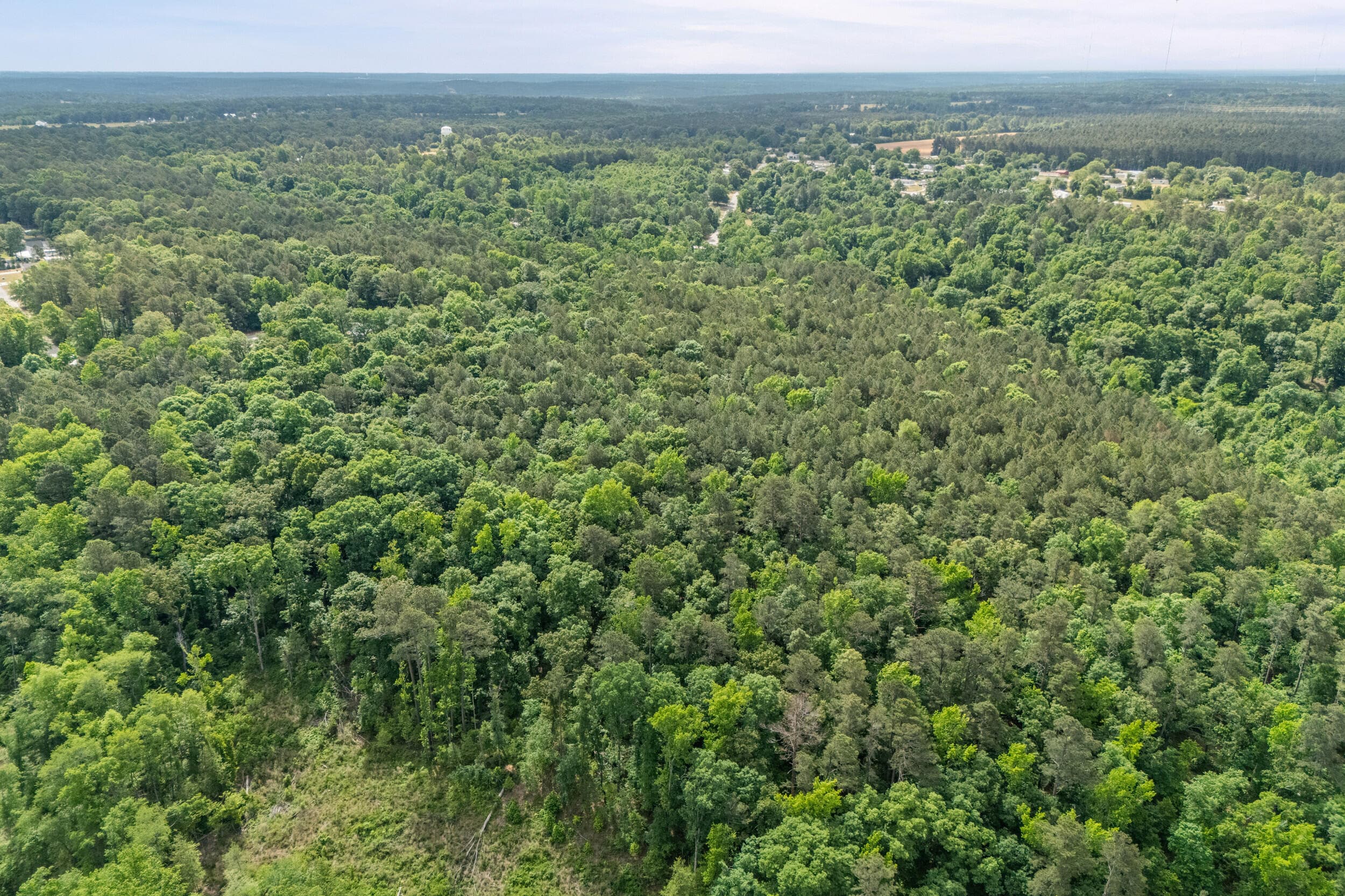 Agriculture at 0 Graystone Drive, Beech Island, SC 29842, photo 11 of 14