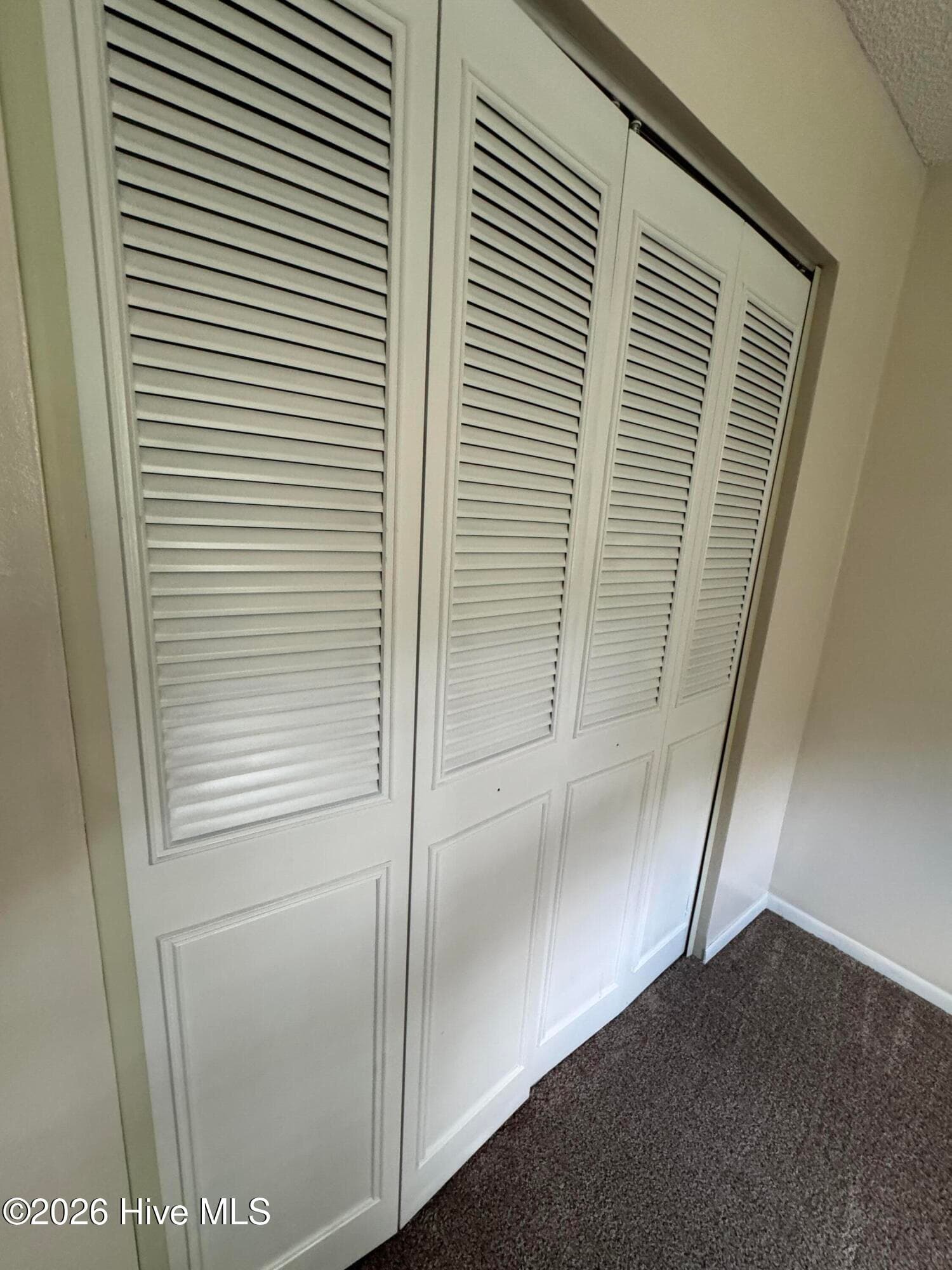 Metal Closet doors - 118 Oakwood Drive, Havelock, NC 28532