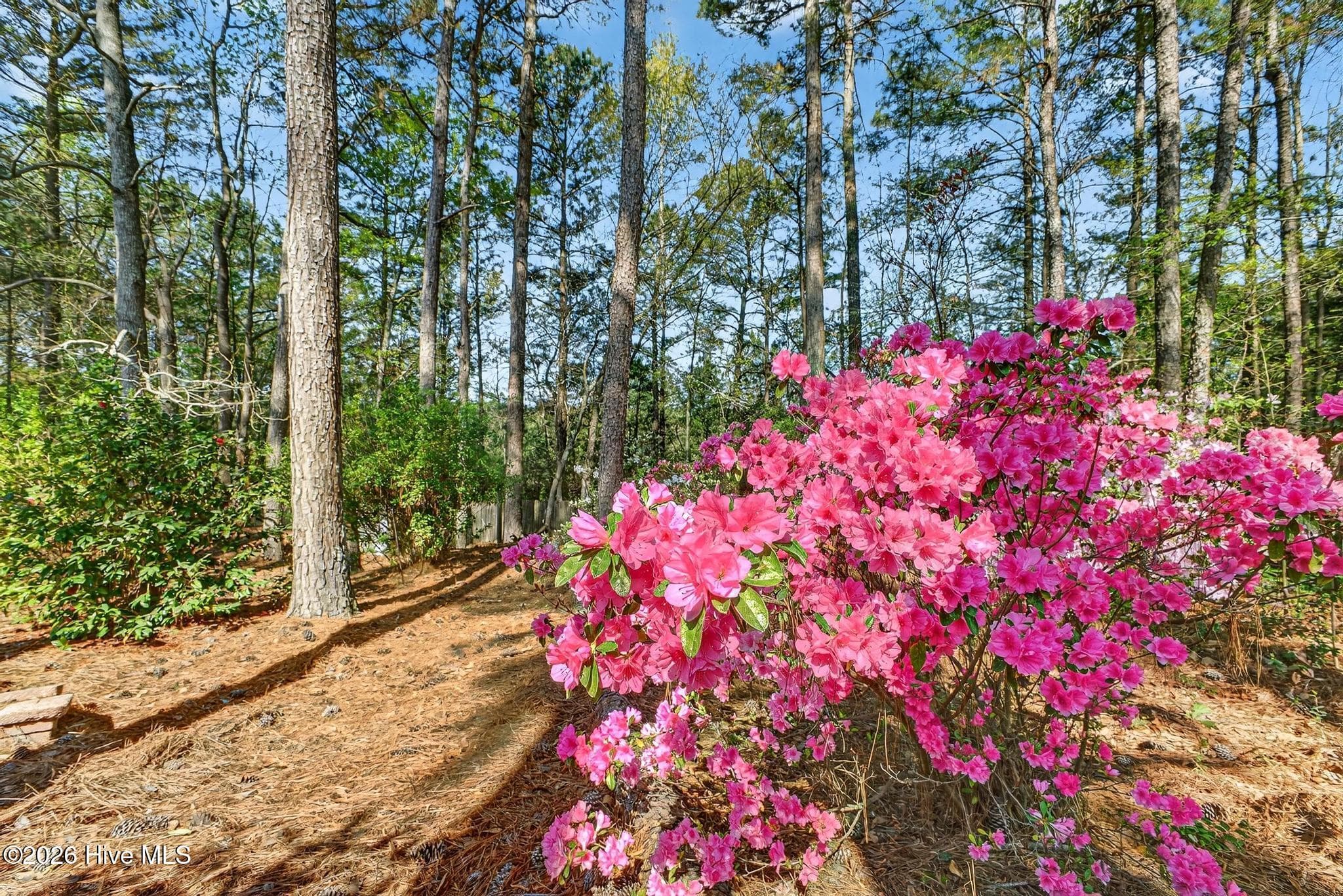 Single Family Residence at 680 Lakeside Drive, Aiken, SC 29803, photo 60 of 79