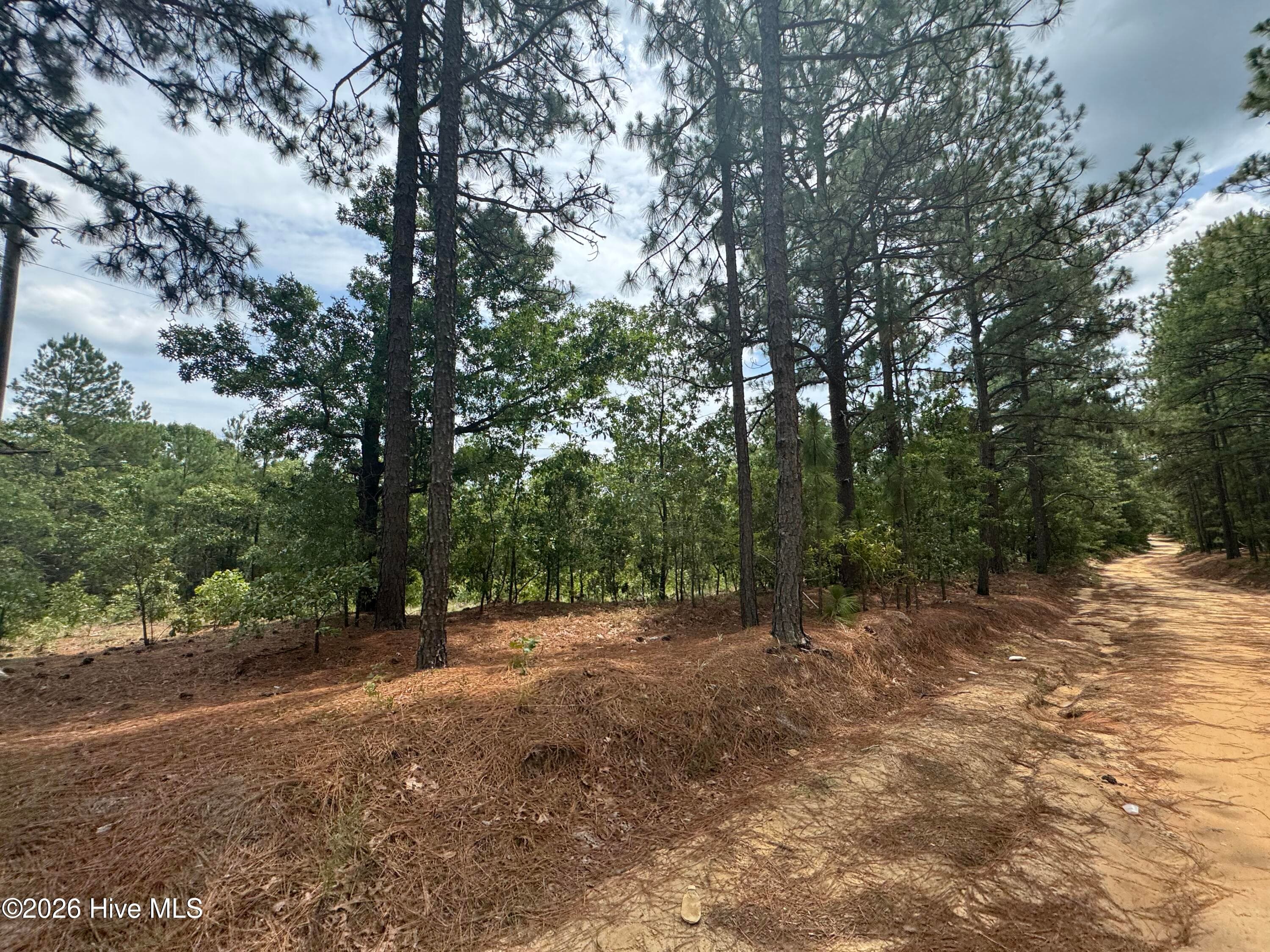 Undeveloped at 000 Lizzie Jeter Lane, Cameron, NC 28326, photo 6 of 8