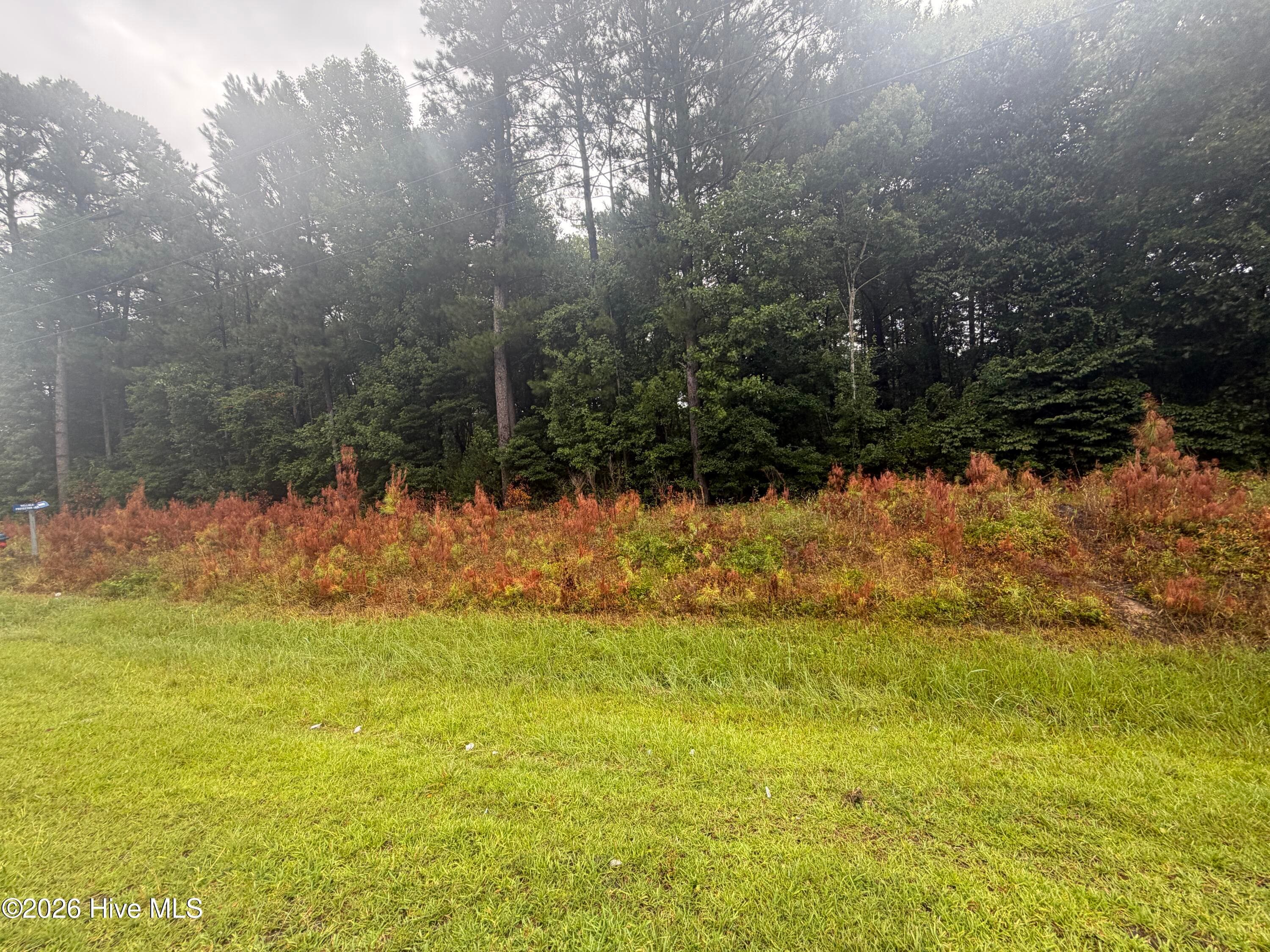 Wooded at 000 Richlands Highway, Jacksonville, NC 28540, photo 8 of 8