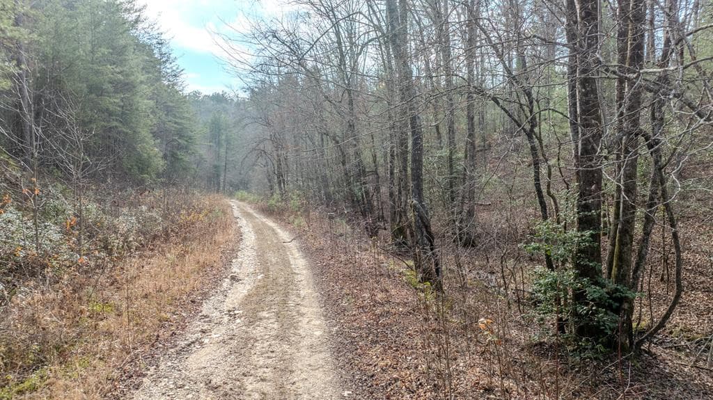 Land at 2.57 Scottie Mountain Circle, Murphy, NC 28906, photo 11 of 11
