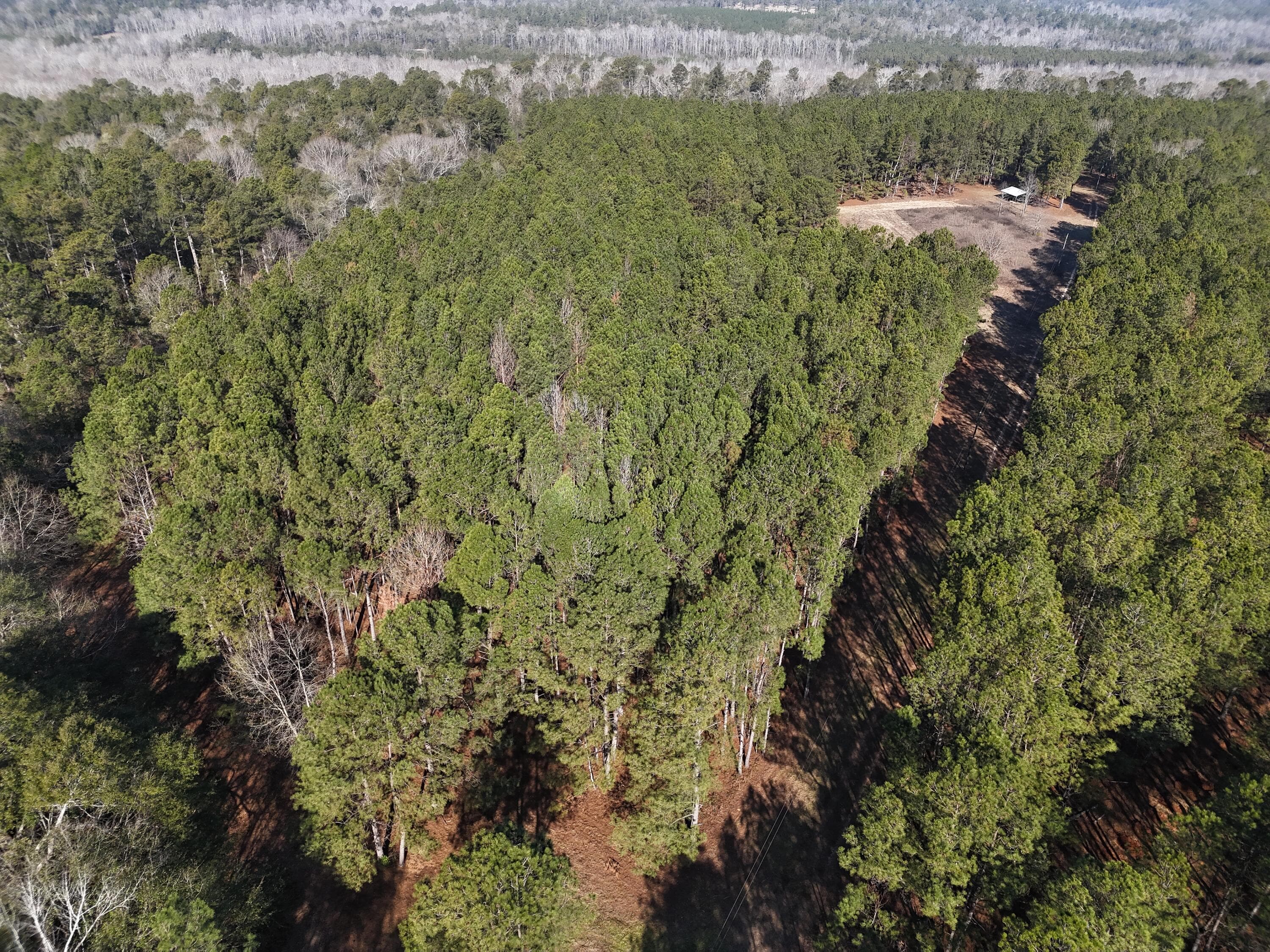 Undeveloped at 0 Ponderosa Road, Waynesboro, GA 30830, photo 5 of 45