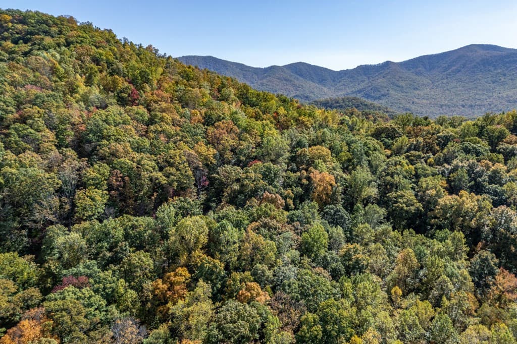 Undeveloped at Lot 38 38 Skyview At Wildlife Acres, Hayesville, NC 28904, Hayesville, photo 27 of 32