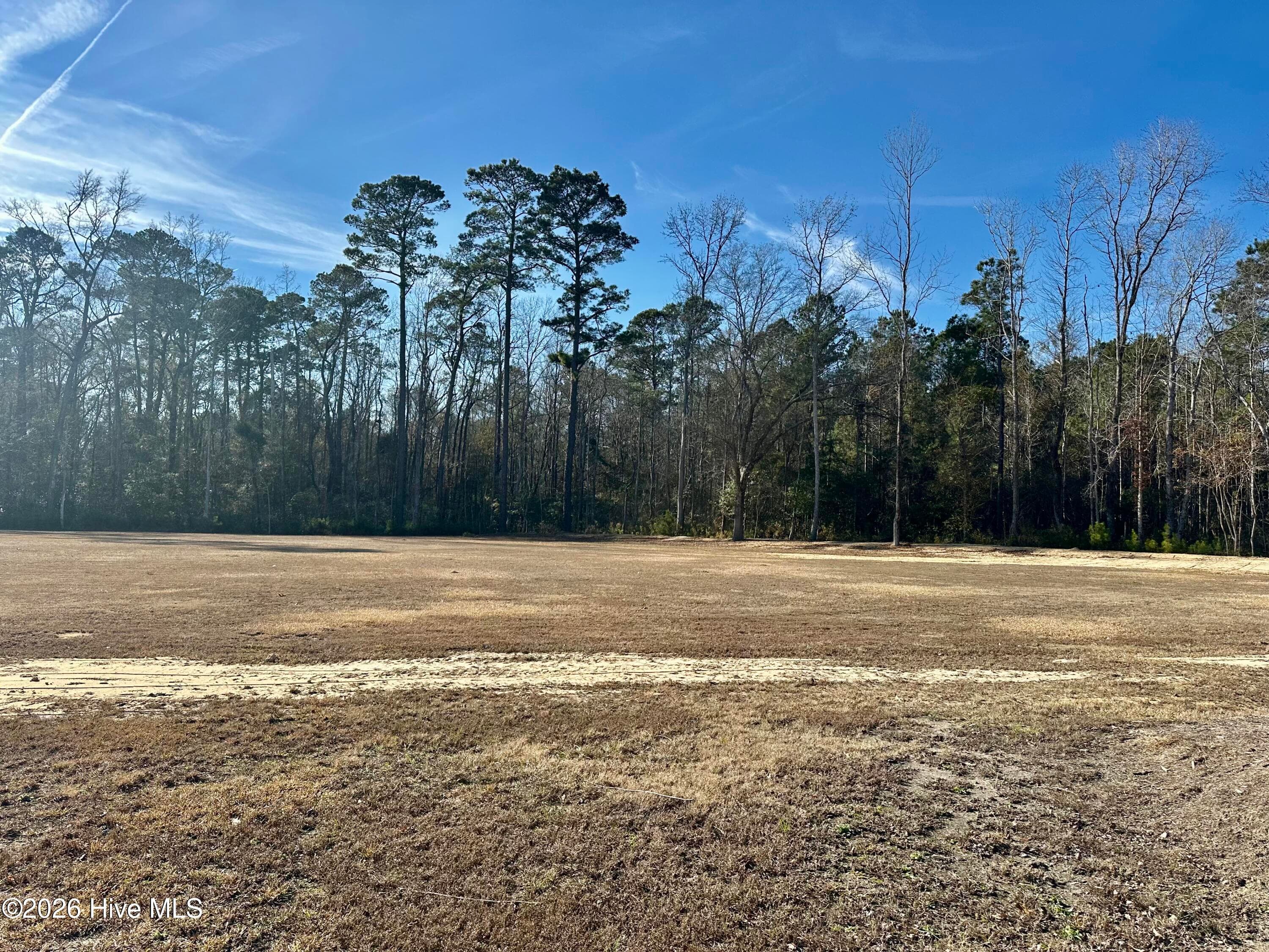 Residential Lot at 3678 New Britton Highway E, Whiteville, NC 28472, photo 8 of 8