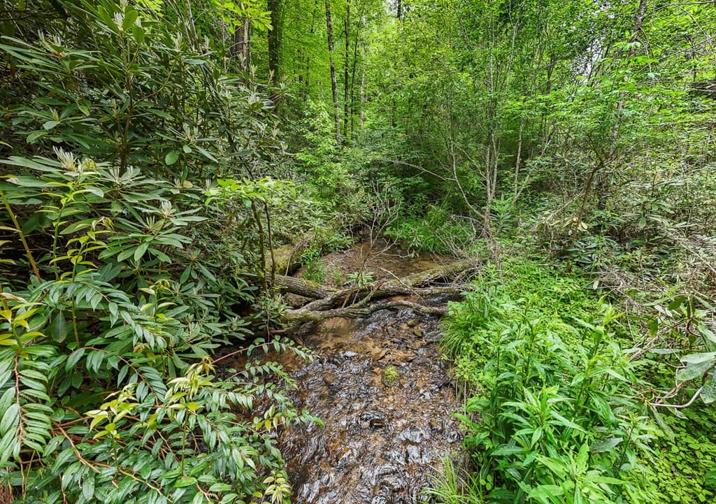 Land at 399 Shell Stand Road, Almond, NC 28702, photo 8 of 21