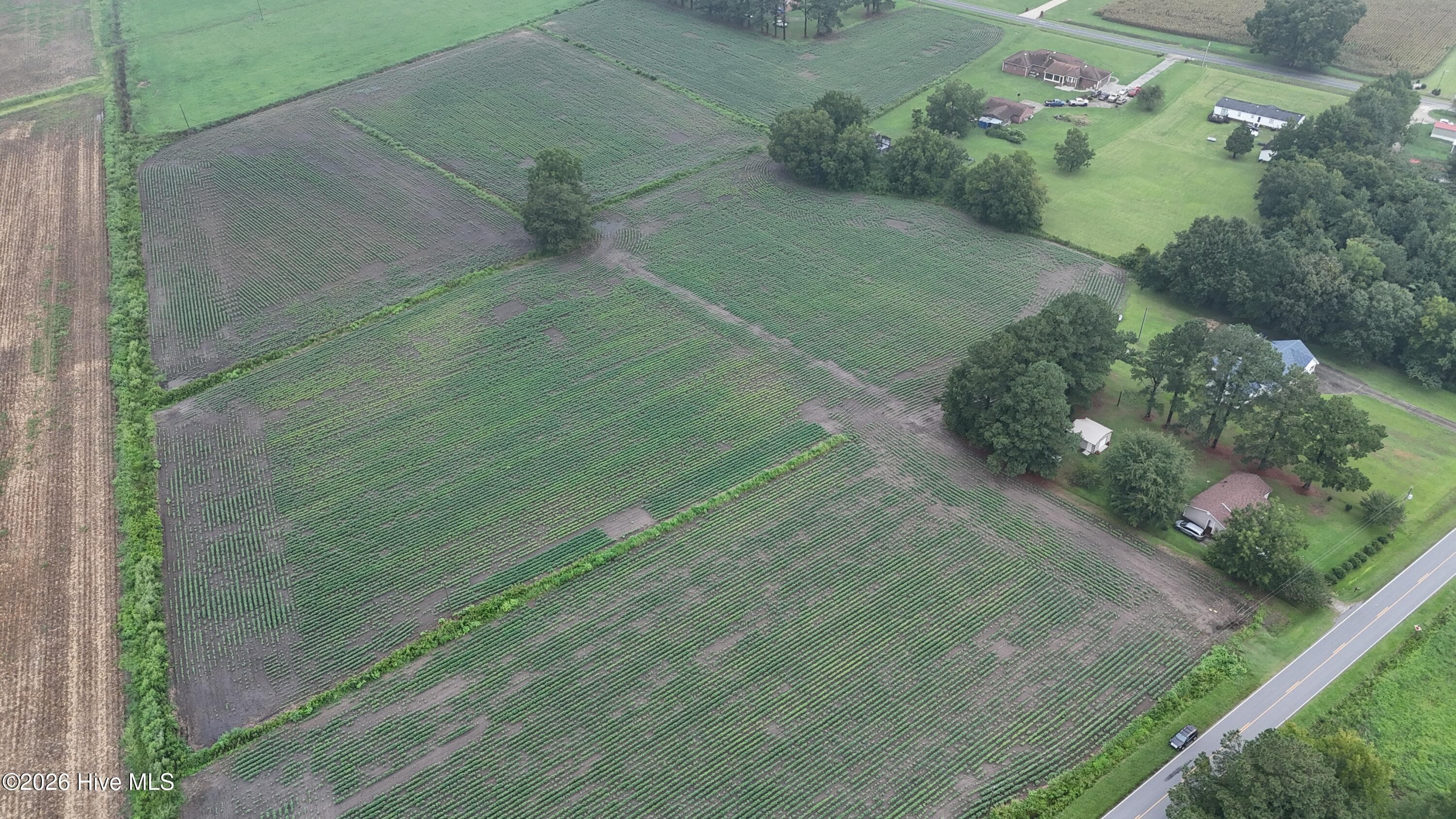 Agriculture at Near 128 Bay Rd., Rose Hill, NC 28458, photo 21 of 21