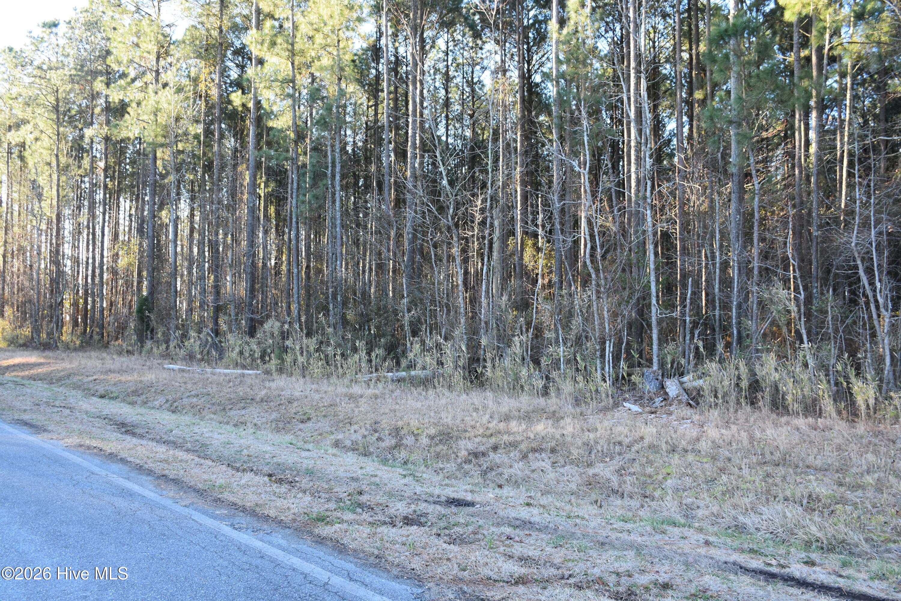 Residential Lot at 97 Mcgowan Road, Bath, NC 27808, photo 6 of 10