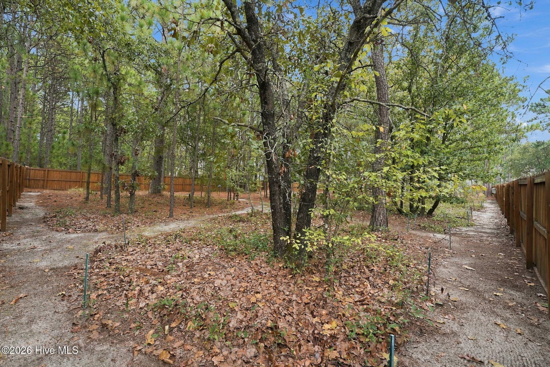 Back Yard - 1140 Whitney Drive, Aberdeen, NC 28315