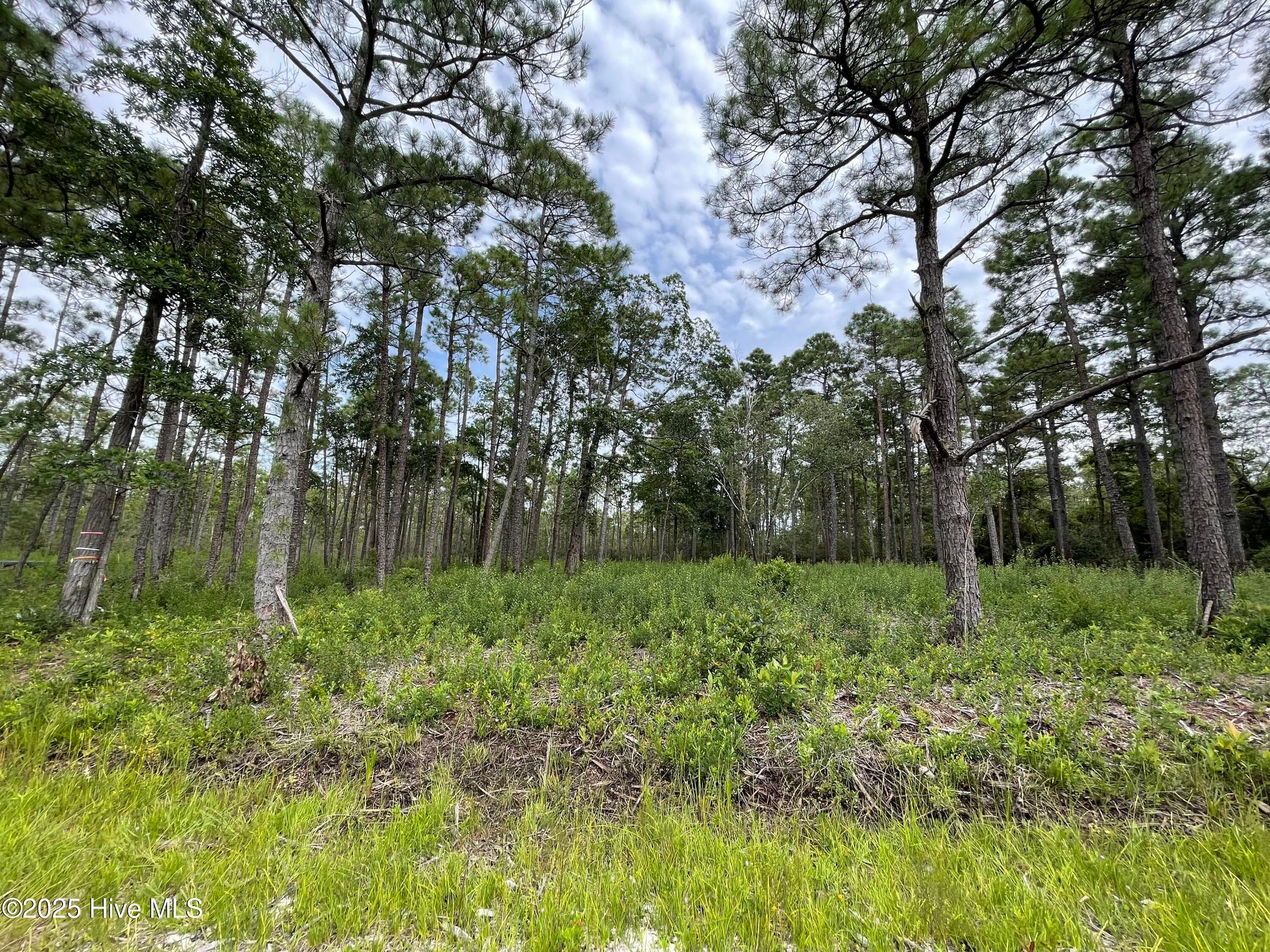 Residential Lot at 811 Brittany Road, Southport, NC 28461, photo 5 of 25