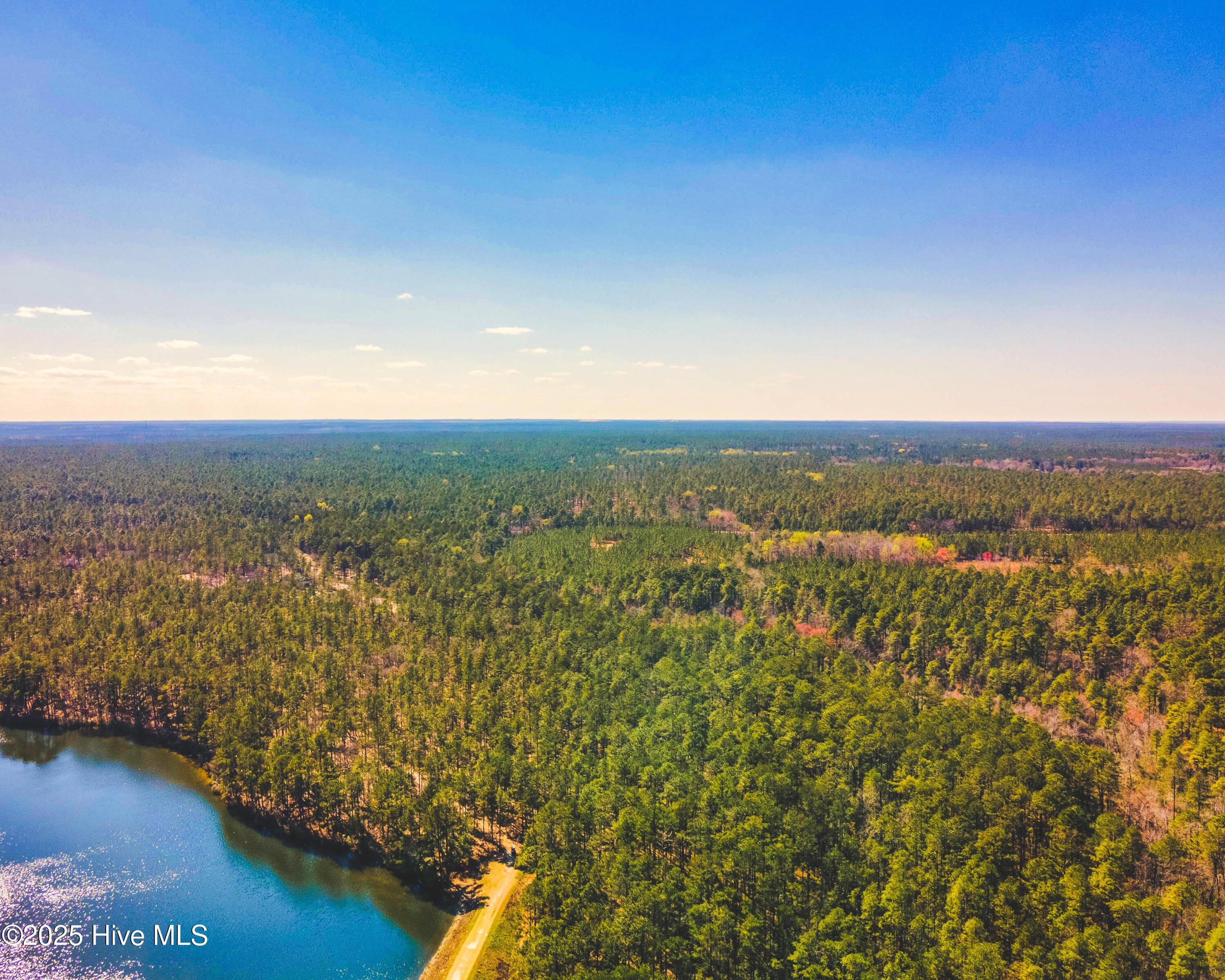 Residential Land at Tbd Raccoon Run, Wagram, NC 28396, photo 2 of 2