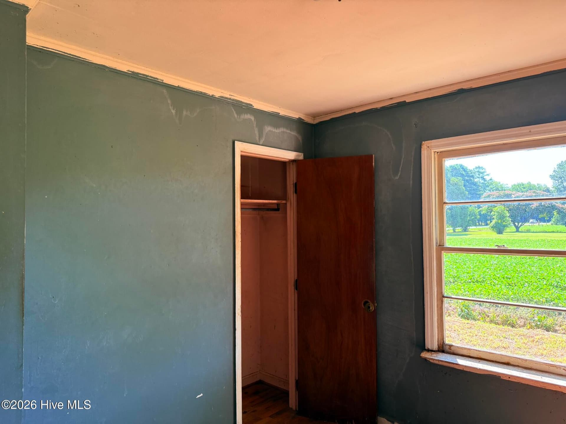 Single Family Residence at 609 Swamp Road, Pantego, NC 27860, photo 16 of 16