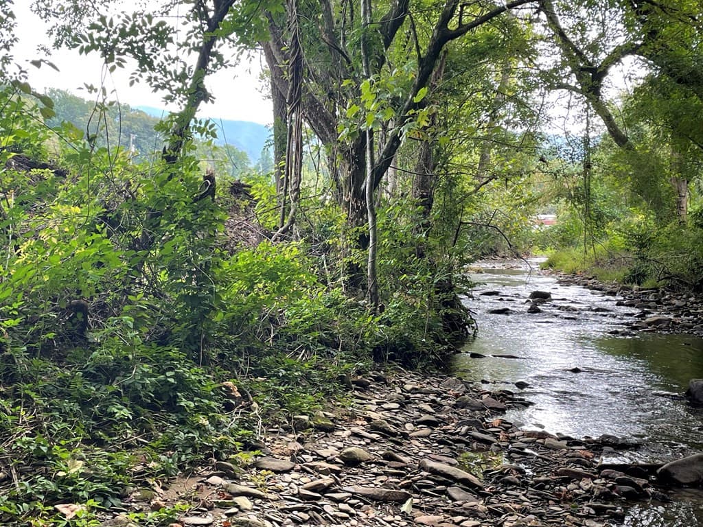 Land at 00 Highway 19, Andrews, NC 28901, photo 17 of 20