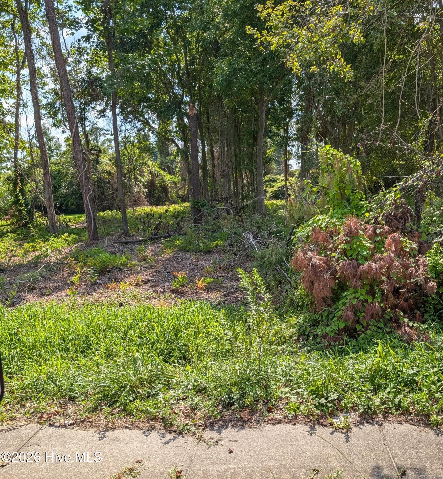 852 Bell Fork Road, Jacksonville, NC 28540