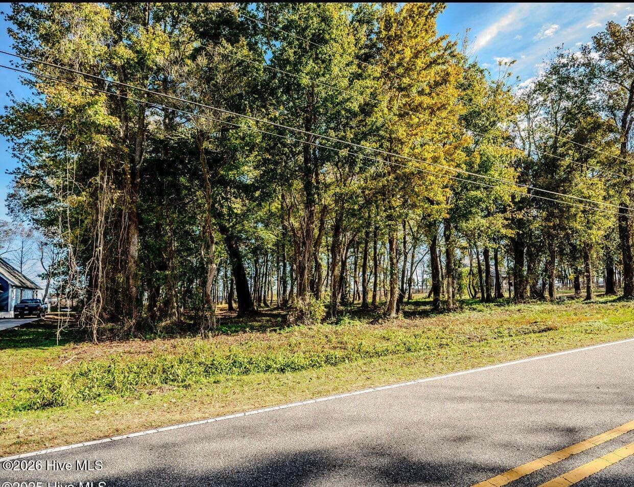 Residential Land at 137-140 137-140 Near 3461 Waccamaw Road S, Lake Waccamaw, NC 28450, photo 17 of 17