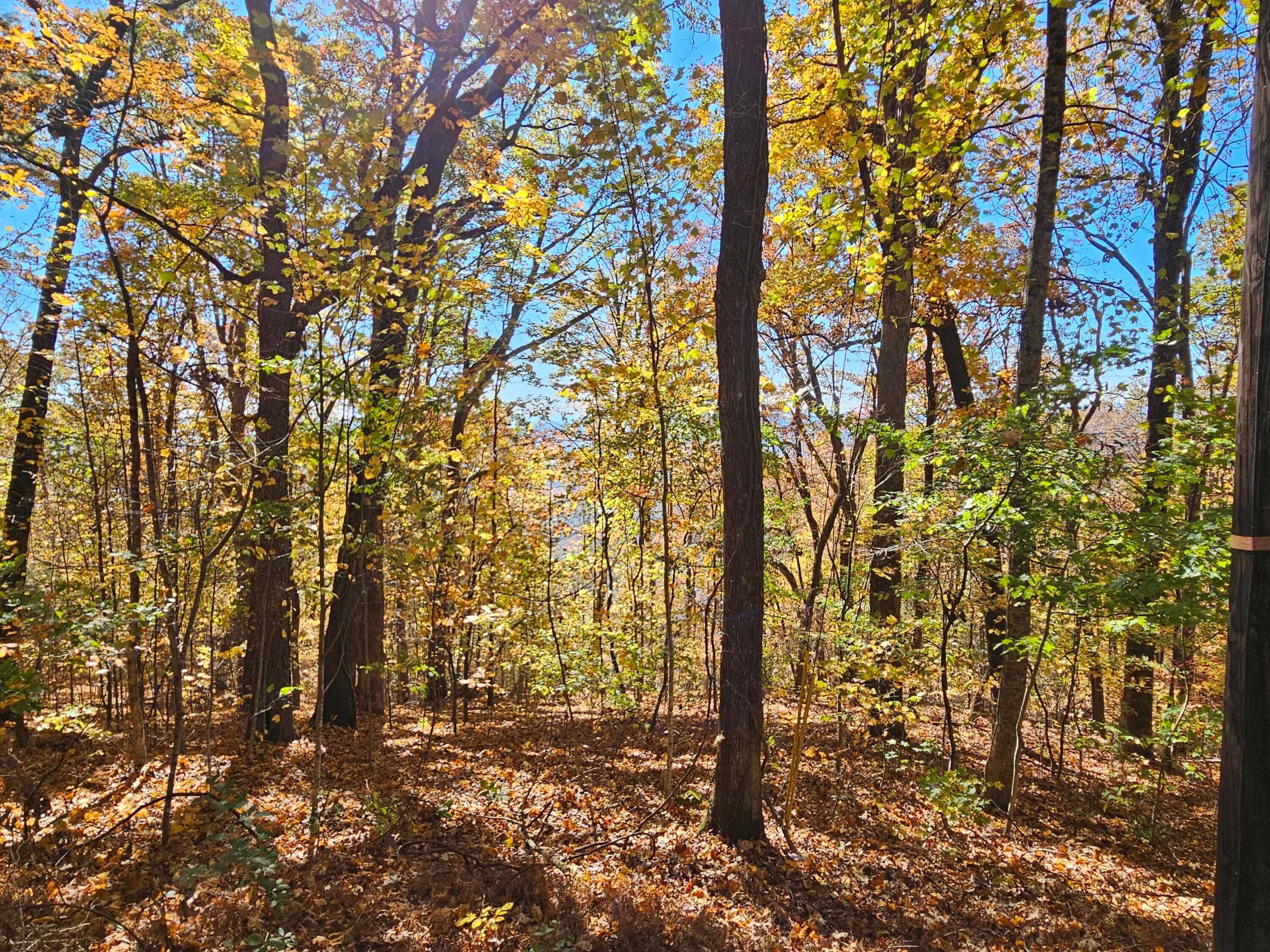 Undeveloped at 0 Confederate Drive, Clayton, GA 30525, photo 2 of 30