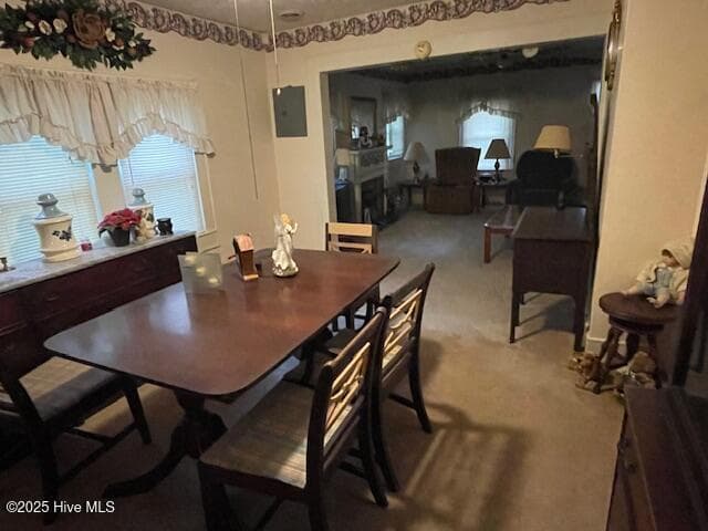 Single Family Residence at 302 Lower Street, Elizabethtown, NC 28337, photo 10 of 12