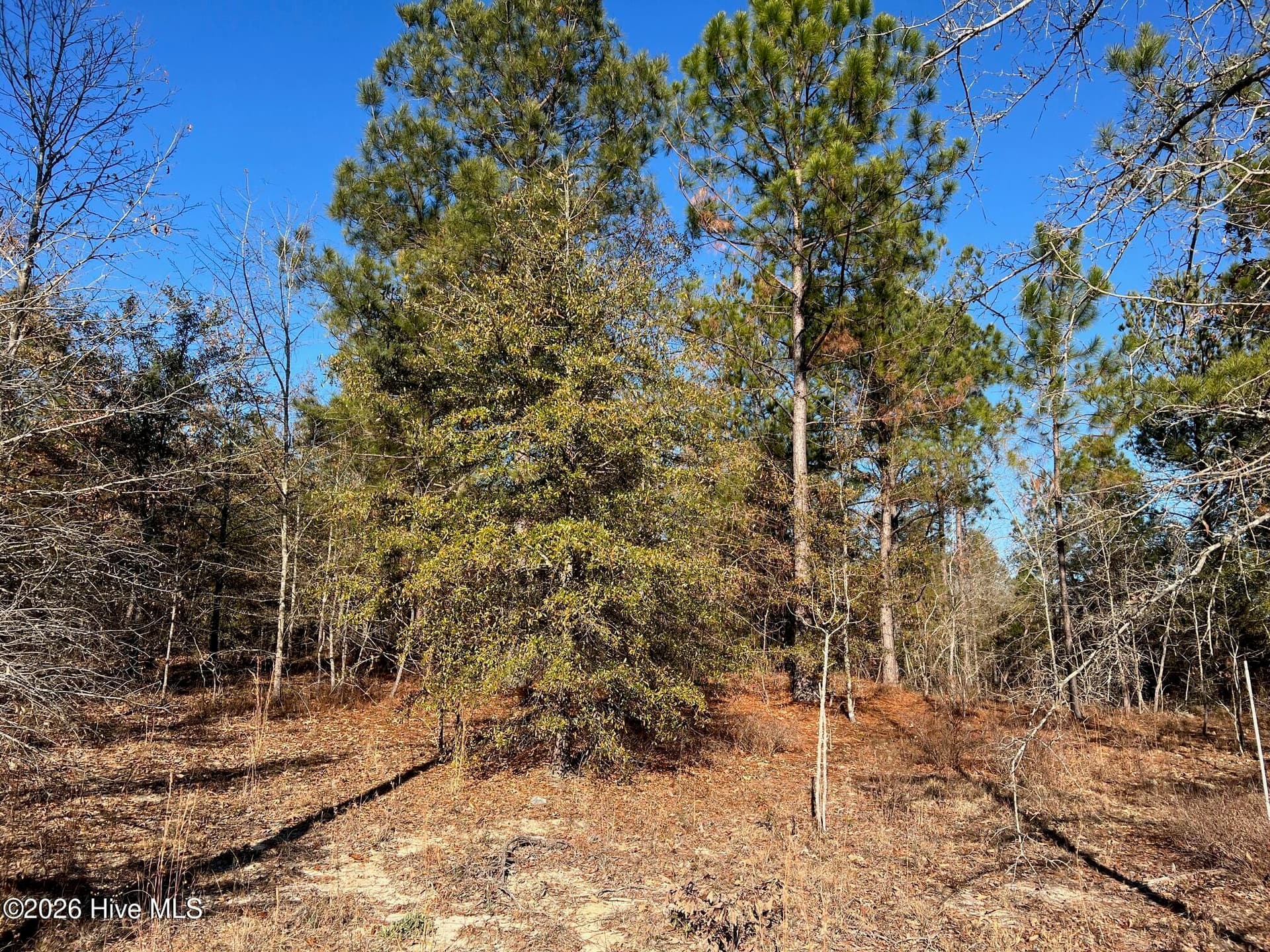 0 Golden Eagle Lane, Hephzibah, GA 30815