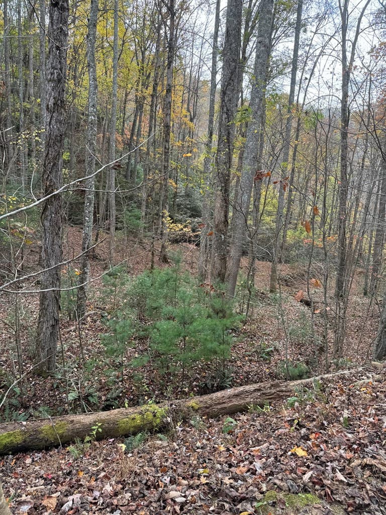 Residential Lot at 00 92 Heritage Trail, Murphy, NC 28906, photo 2 of 8