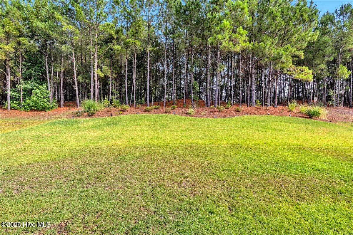 Single Family Residence at 1320 N Fisher King Drive SE, Bolivia, NC 28422, photo 48 of 68