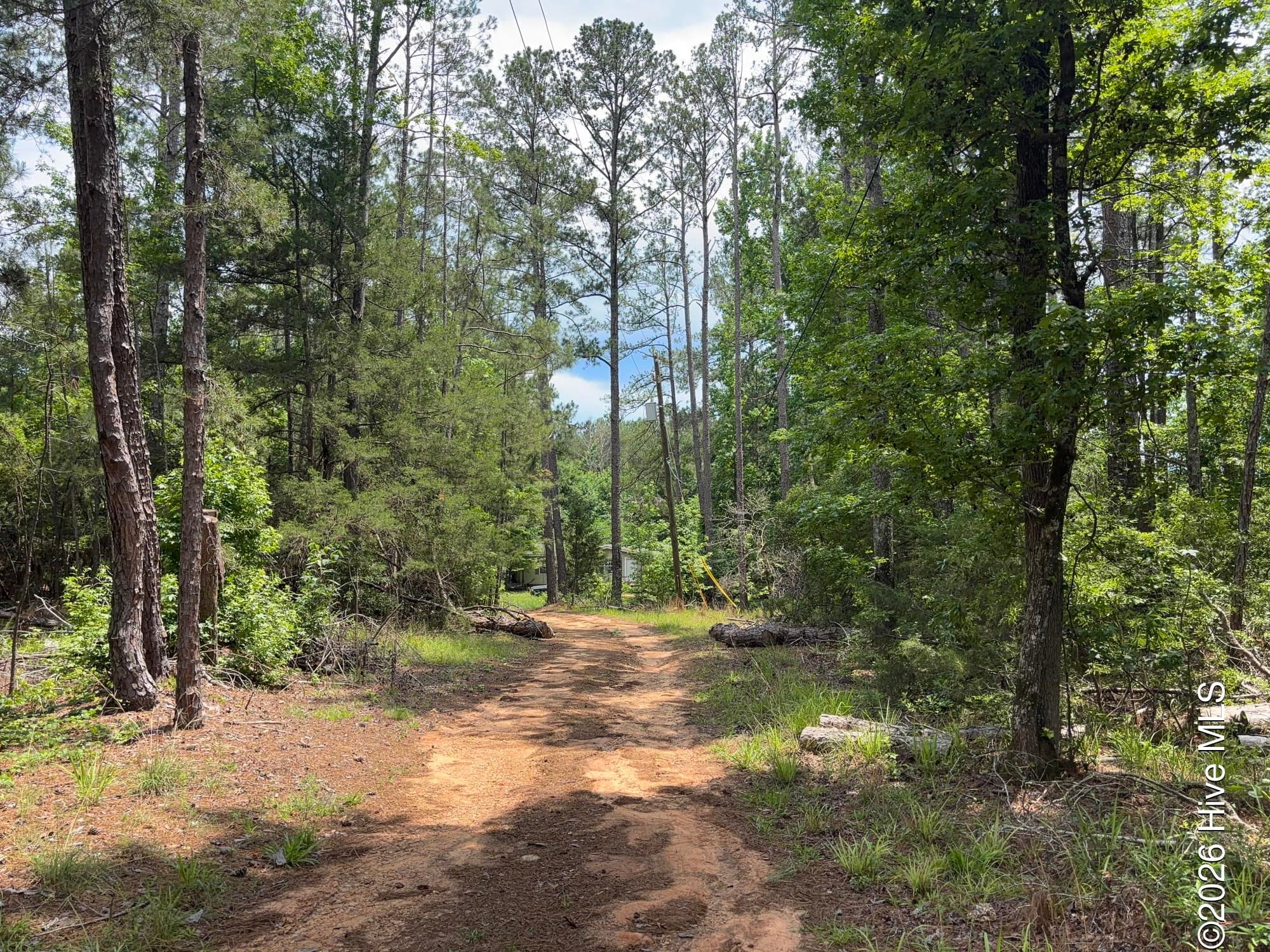 3763 Adelia Drive, Appling, GA 30802