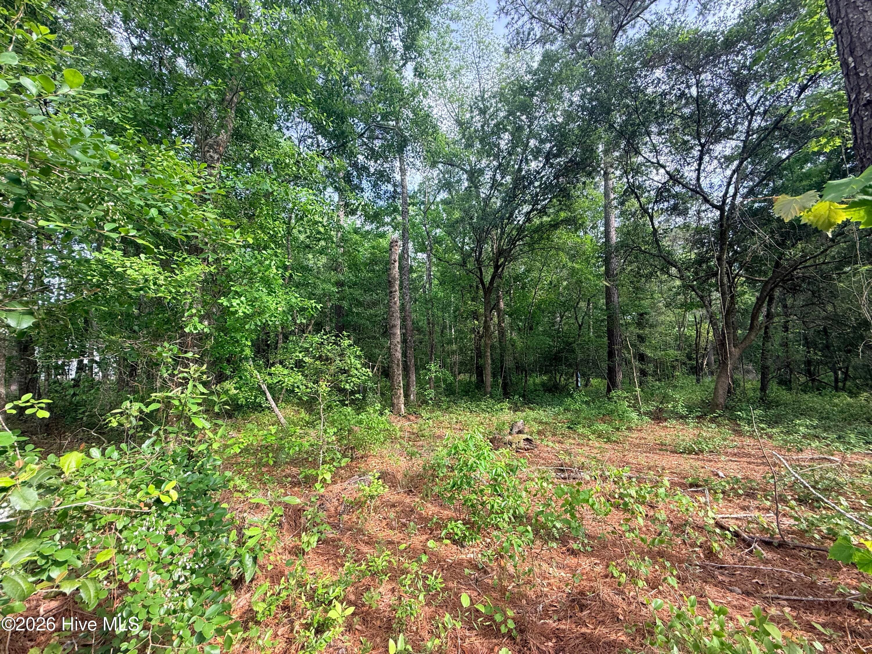 Residential Lot at Lot 4 Peach Court, Burgaw, NC 28425, photo 8 of 8