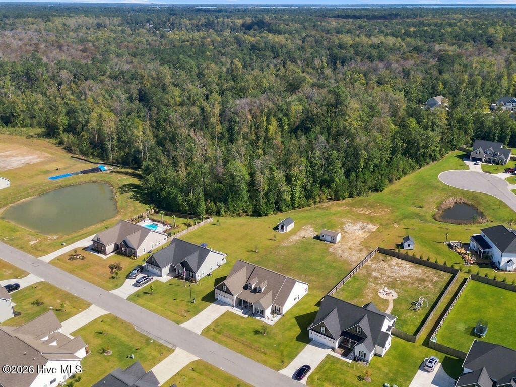 The forest behind the house is national forest - 2019 Tarpon Trail, New Bern, NC 28562
