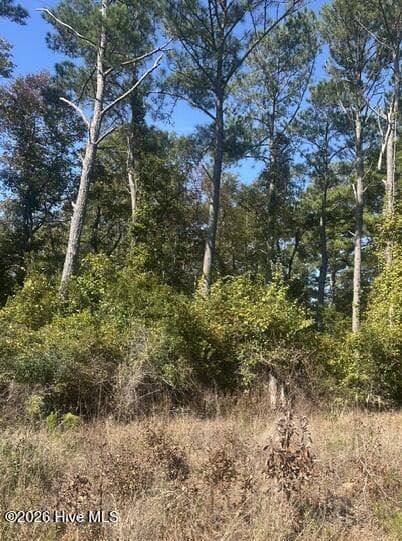 Wooded at Lot 7 7 Venice Lane, Broad Creek, NC 28570, photo 6 of 10