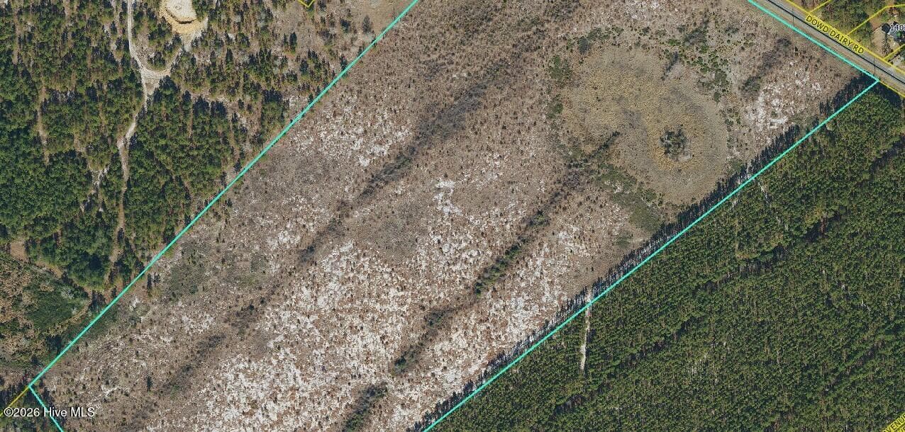 Tbd 1 Dowd Dairy Road, White Oak, NC 28399