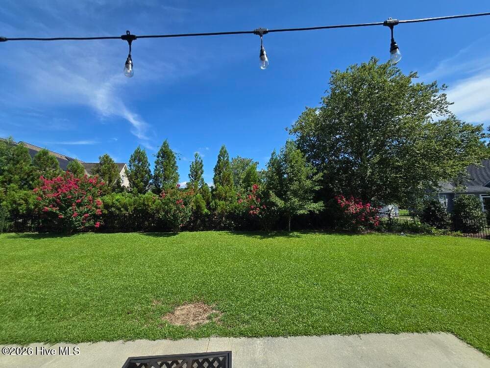 Lush landscaping - 1404 Sunset Drive, Goldsboro, NC 27534