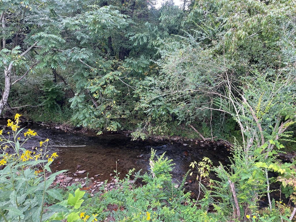 Land at 00 Highway 19, Andrews, NC 28901, photo 10 of 20