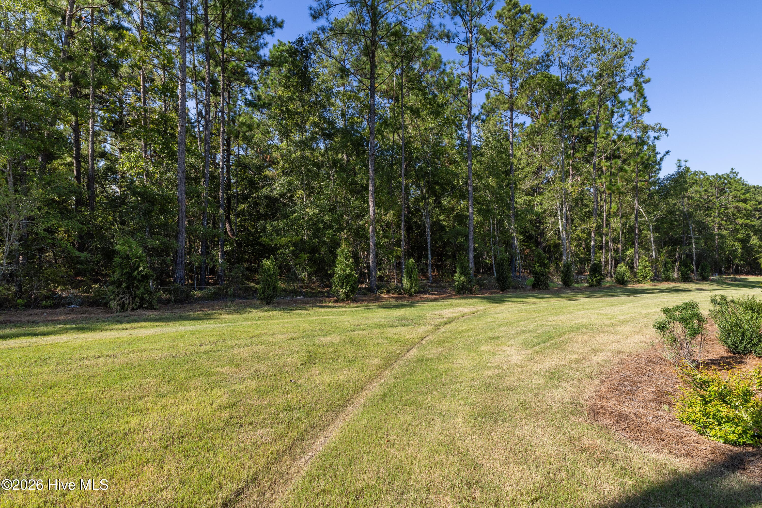 Gorgeous views from your back porch - 458 Longshadow Drive, Aiken, SC 29803