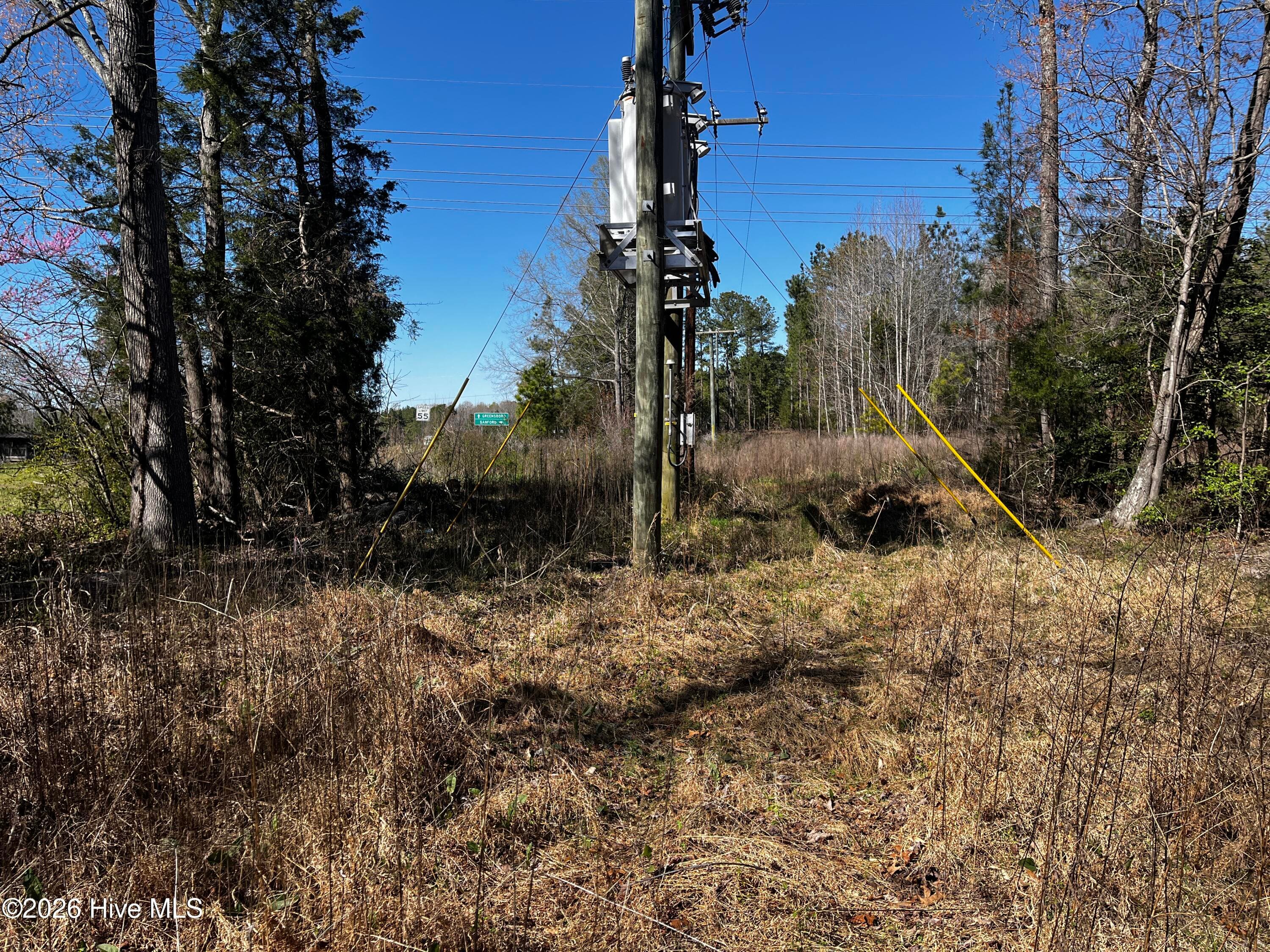 Undeveloped at 1030 Piney Grove Church Road, Siler City, NC 27344, photo 5 of 7