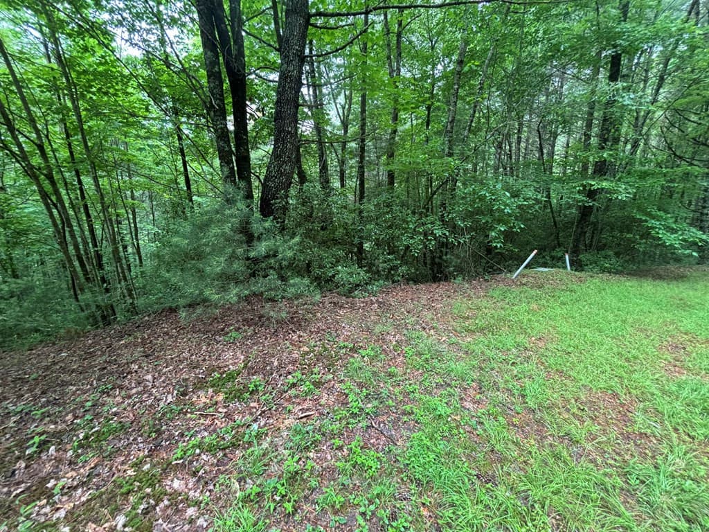 Land at Lot 11 Horse Camp Drive, Hayesville, NC 28904, Hayesville, photo 11 of 11