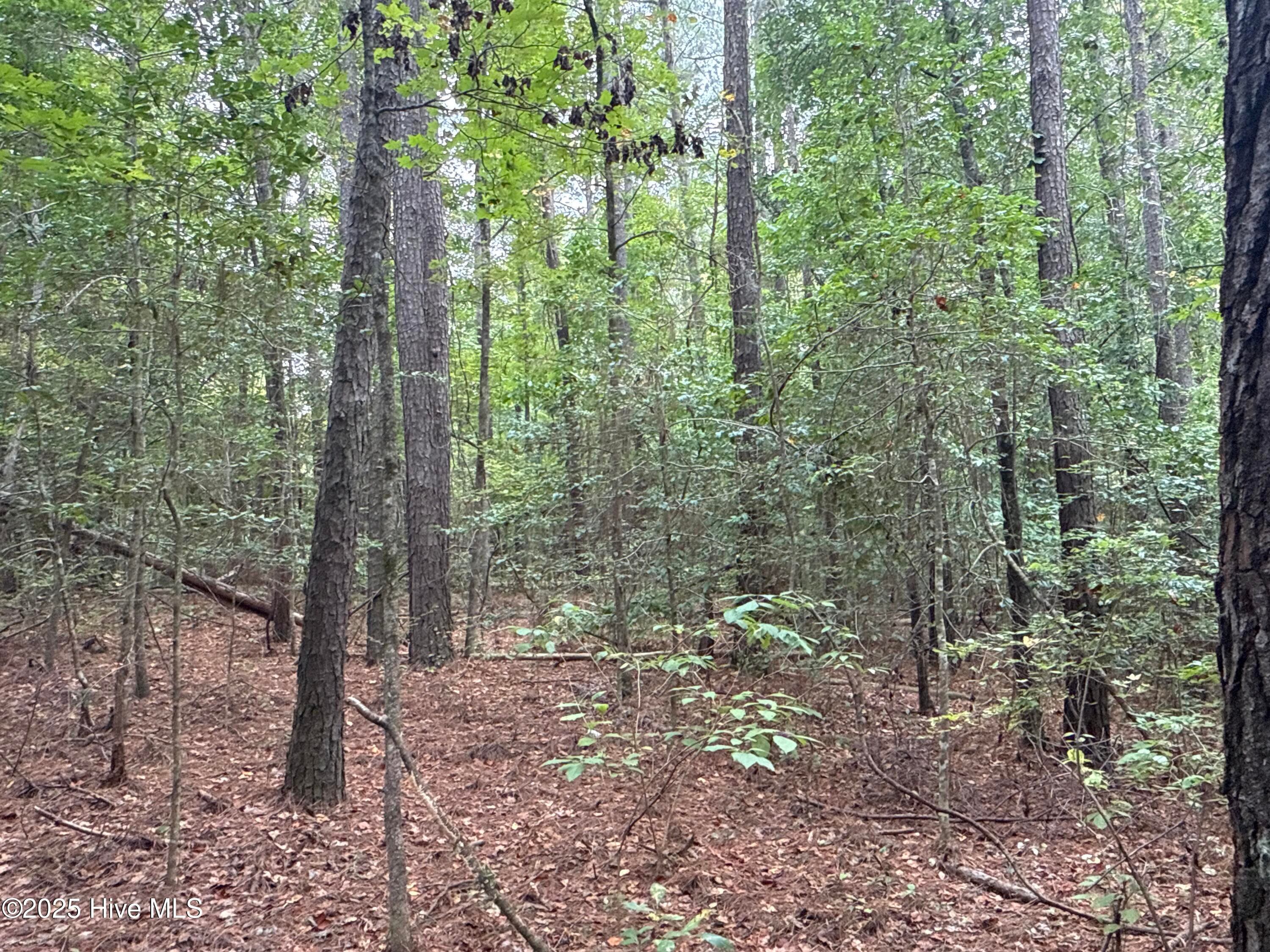 Recreation at 0 Creekmur Road, Edward, NC 27821, photo 8 of 13