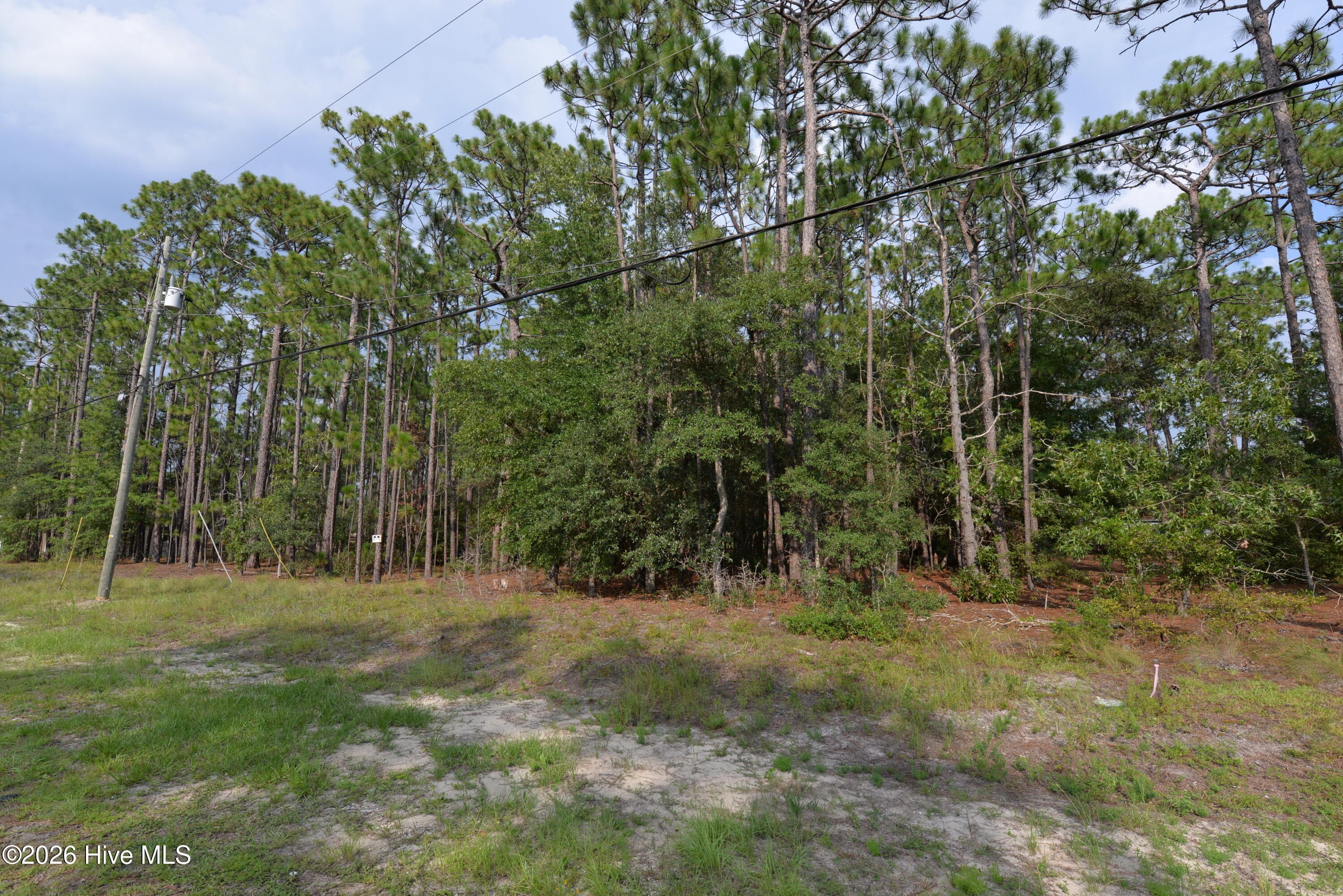 Residential Lot at 881 50+51 Eden Drive, Southport, NC 28461, photo 4 of 4