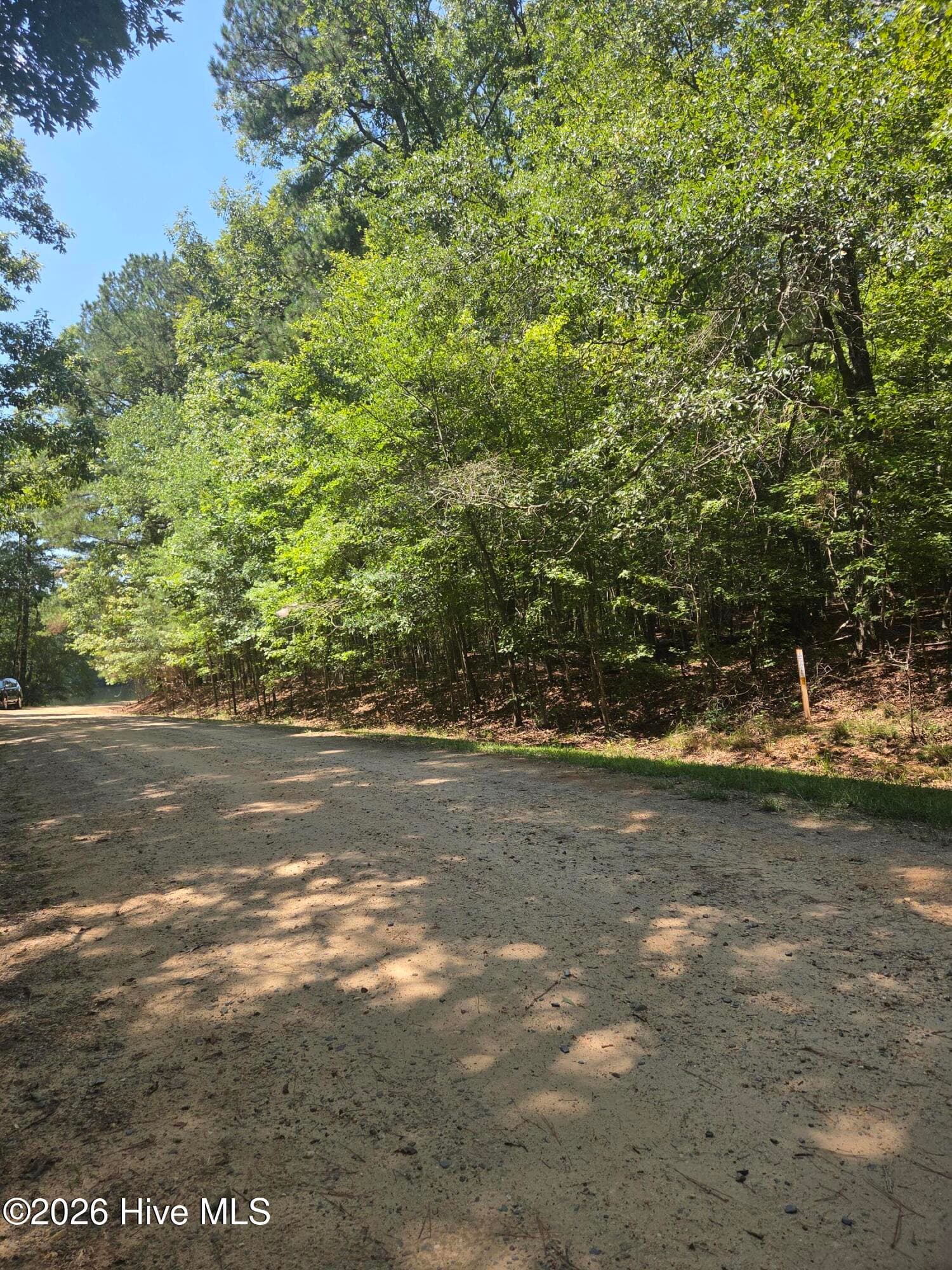 Residential Lot at Lot 45b 45B Appaloosa Lake Drive, Carthage, NC 28327, Carthage, photo 9 of 19