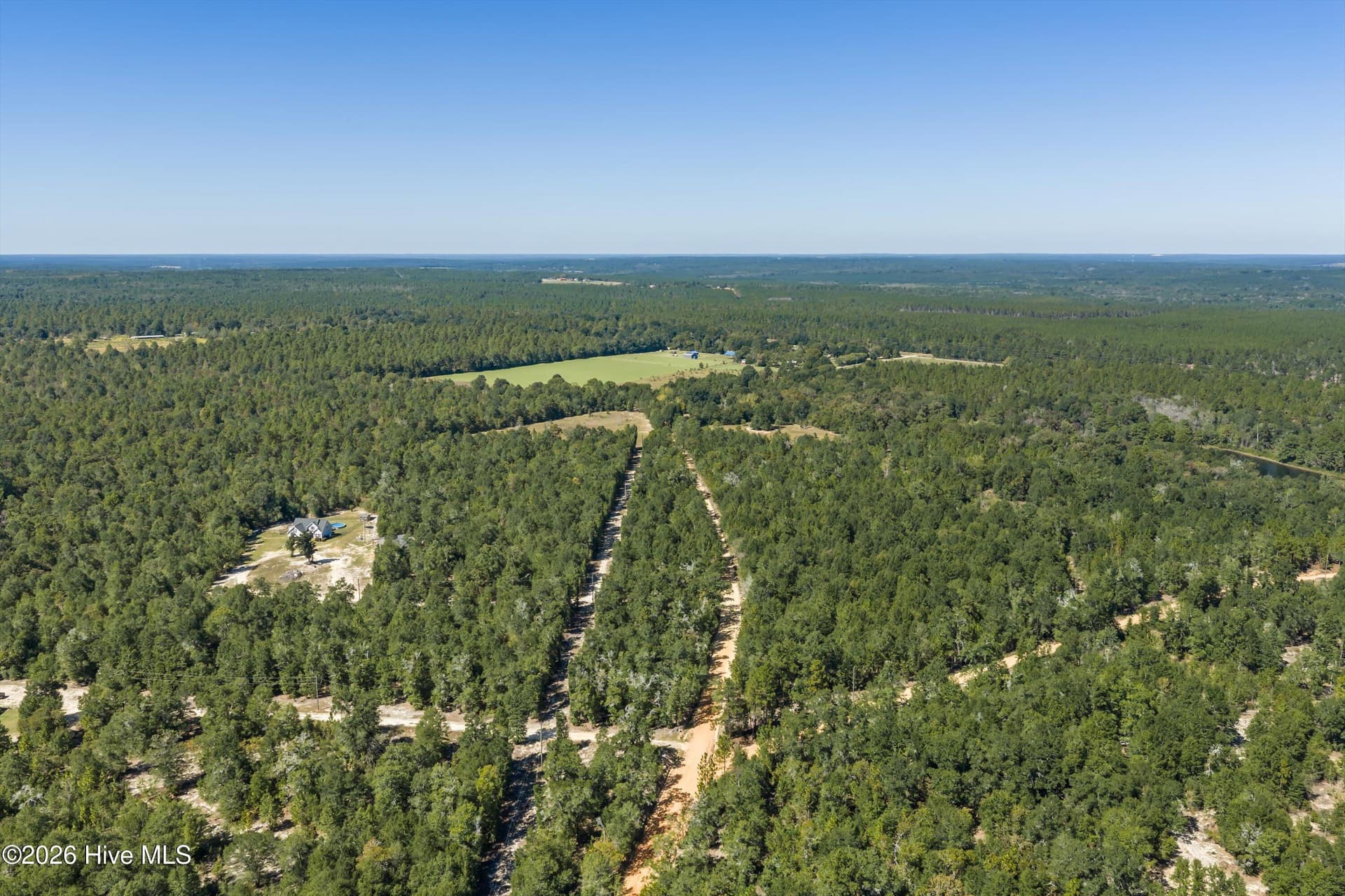 Residential Lot at 000.0 Mary Rawls Road, Wagener, SC 29164, photo 17 of 21