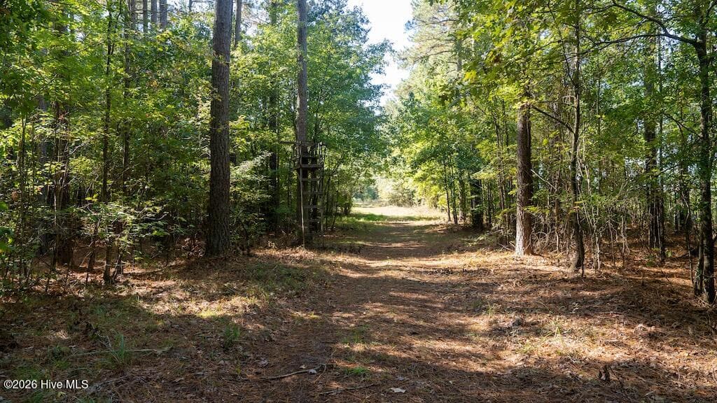 Mixed Use at 0 Spring Hill Road, Scotland Neck, NC 27874, photo 12 of 93