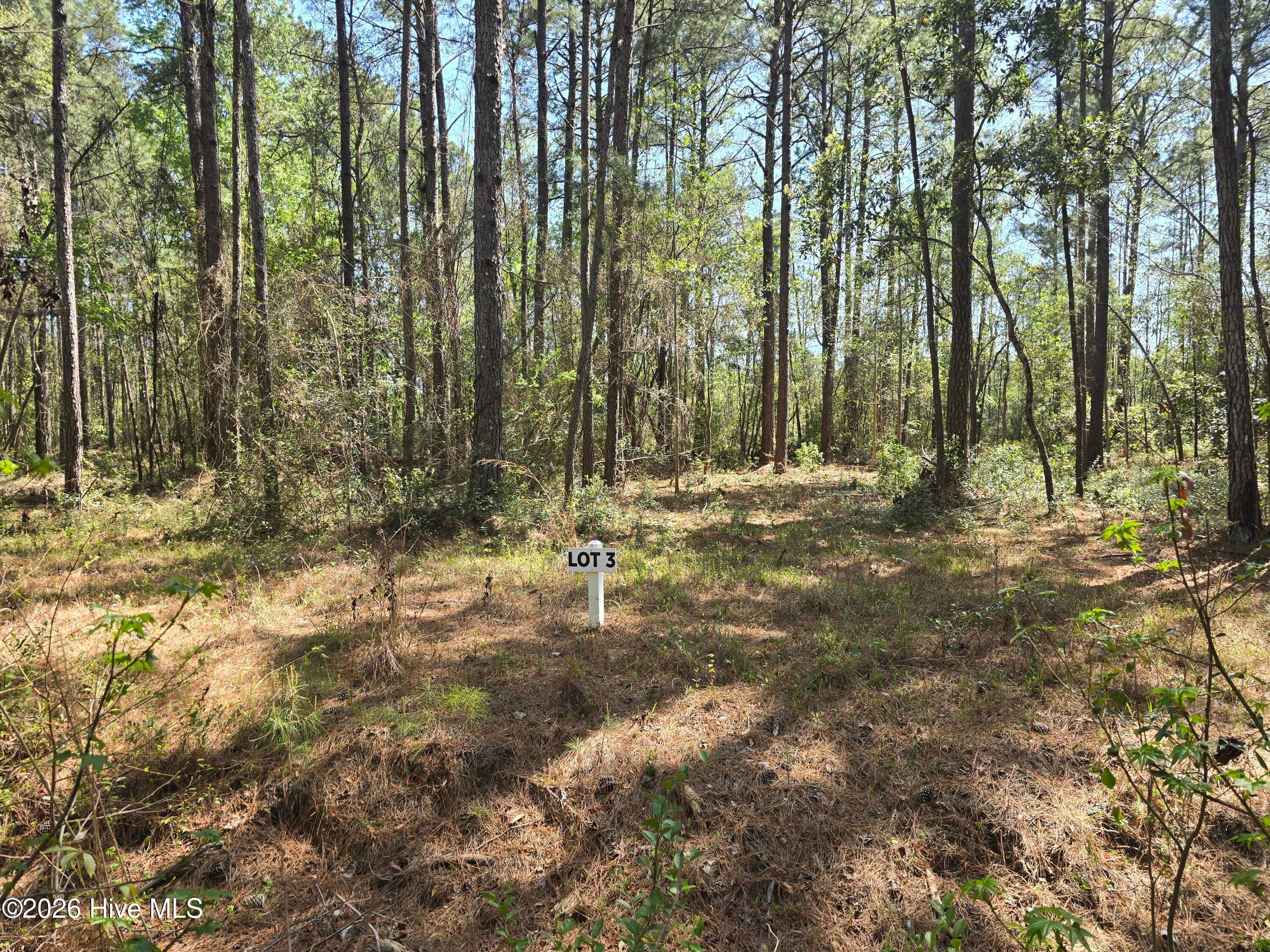 Residential Lot at Lot 3 3 Renee Drive, Hampstead, NC 28443, photo 3 of 6