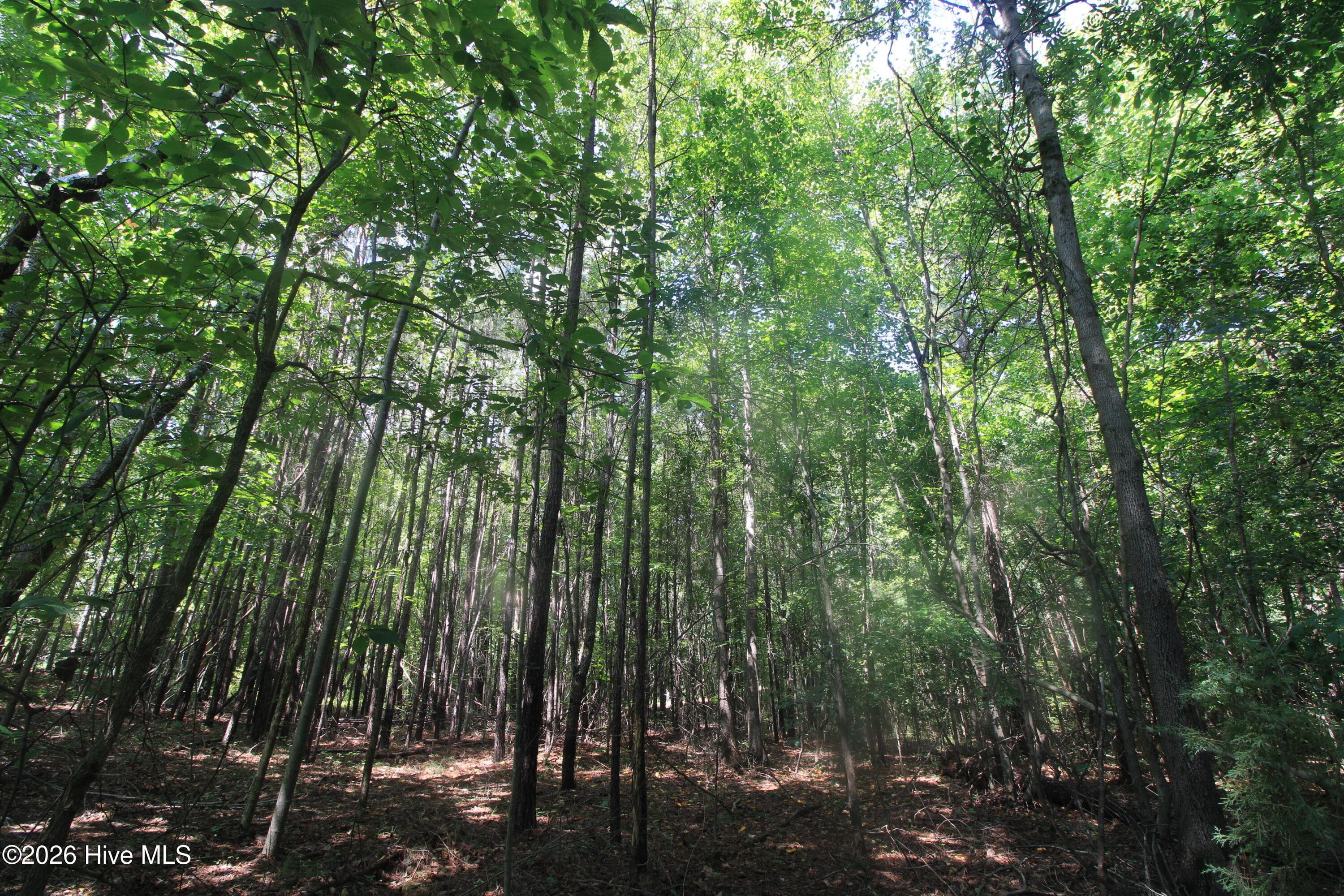 Residential Lot at 0 Crowatan Trail, Carthage, NC 28327, photo 10 of 35
