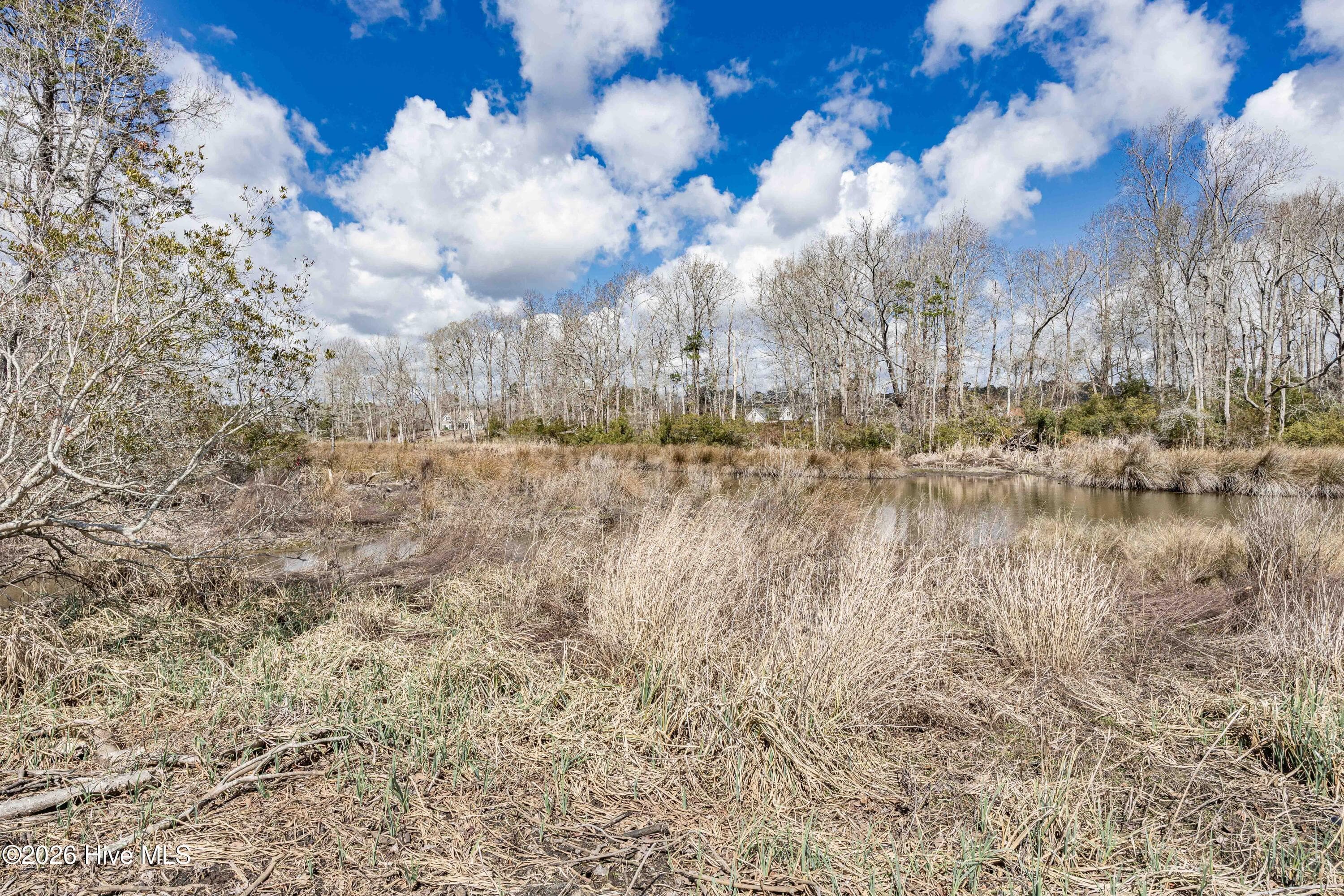 0 4 Nc 92 Hwy E, Bath, NC 27808