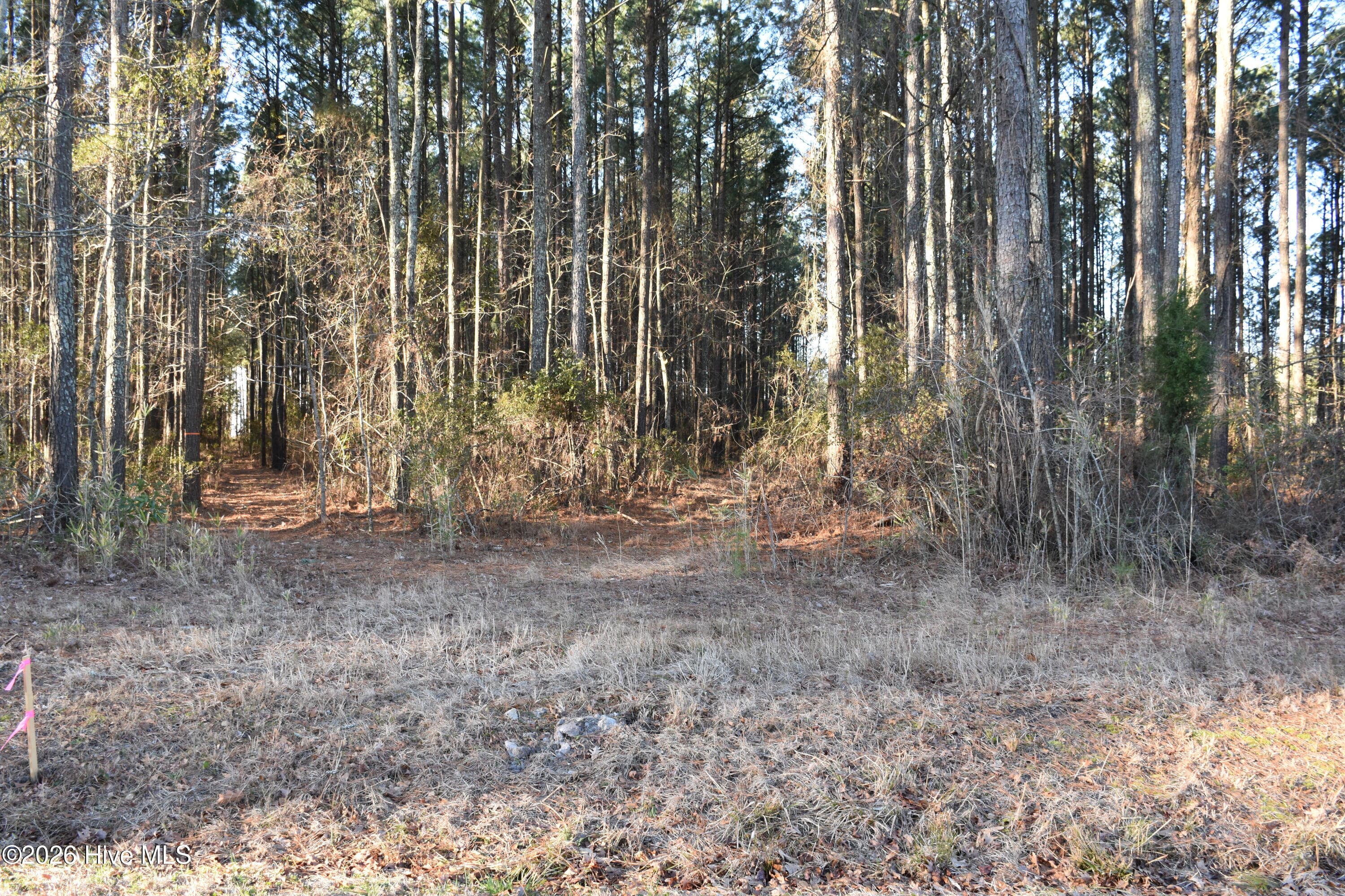 Residential Lot at 97 Mcgowan Road, Bath, NC 27808, photo 4 of 10