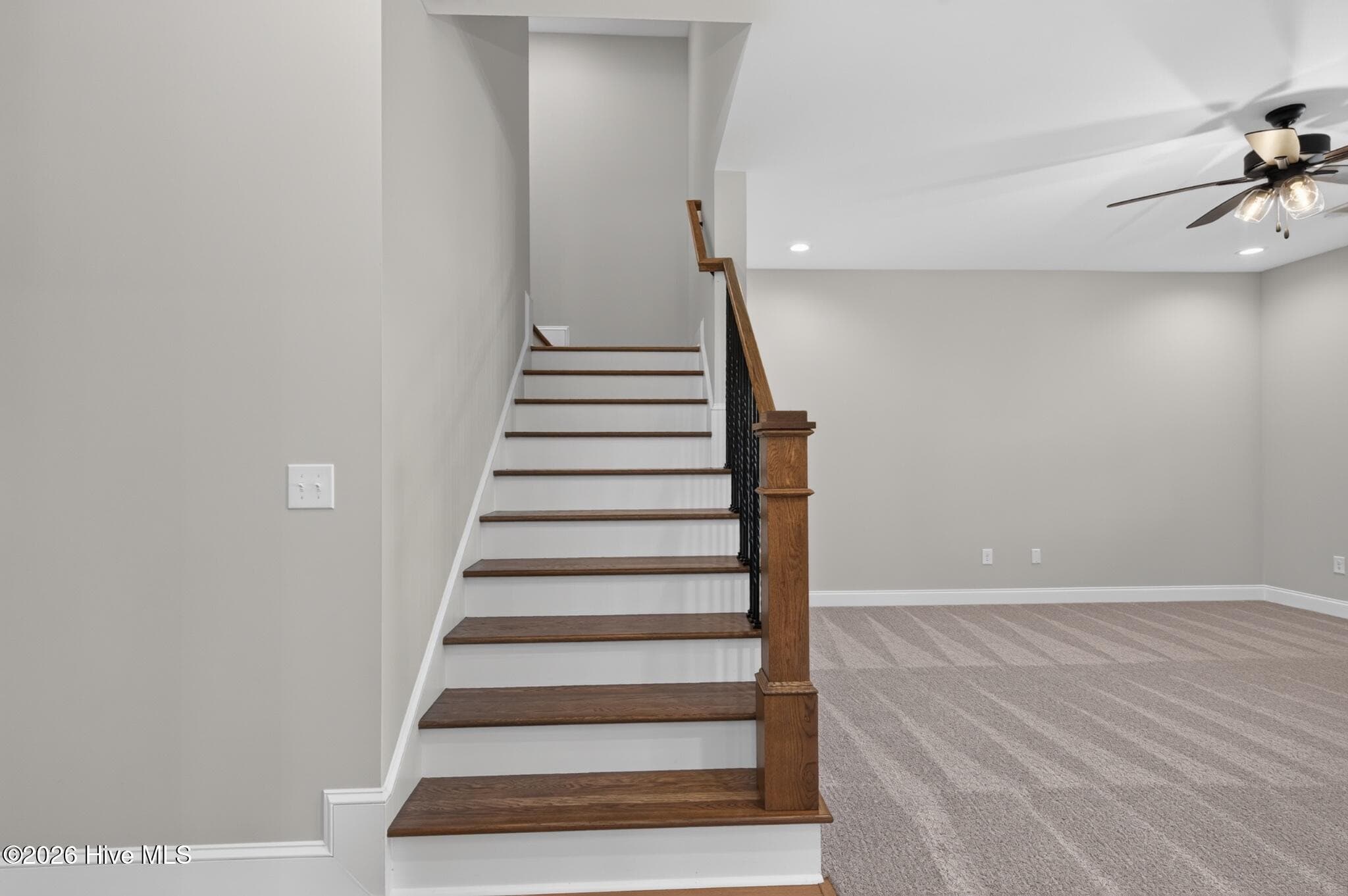 basement - 806 Nuttall Street, Evans, GA 30809
