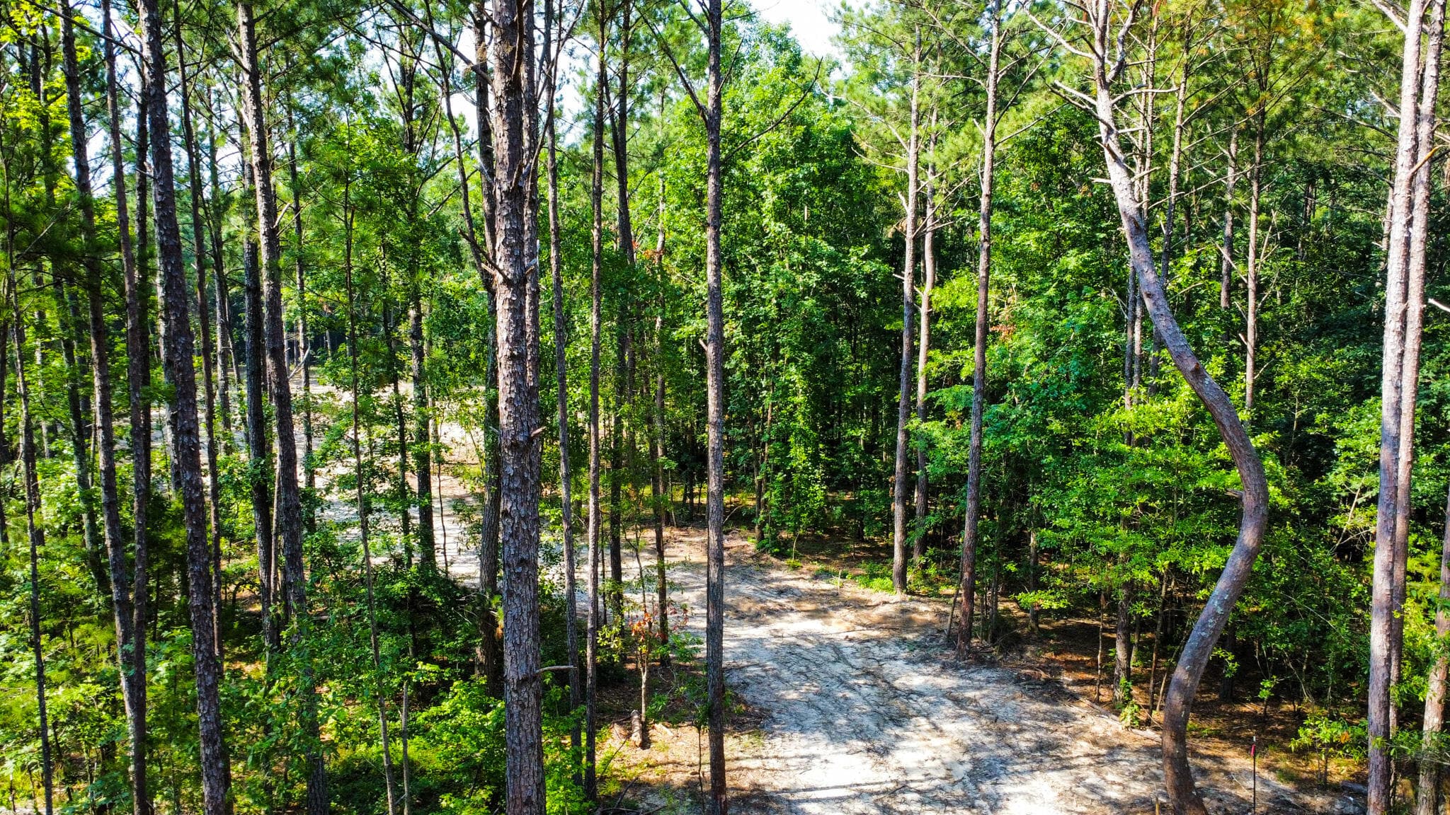 Undeveloped at 0 Backway Road, Lincolnton, GA 30817, photo 25 of 48