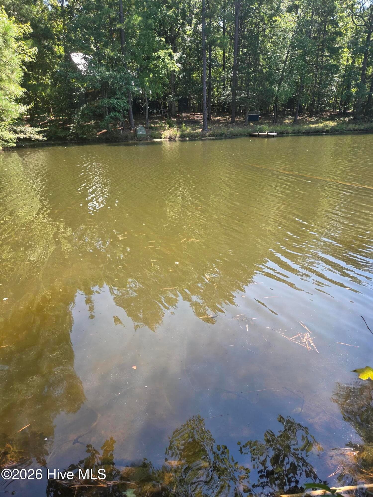 Residential Lot at Lot 45b 45B Appaloosa Lake Drive, Carthage, NC 28327, Carthage, photo 2 of 19