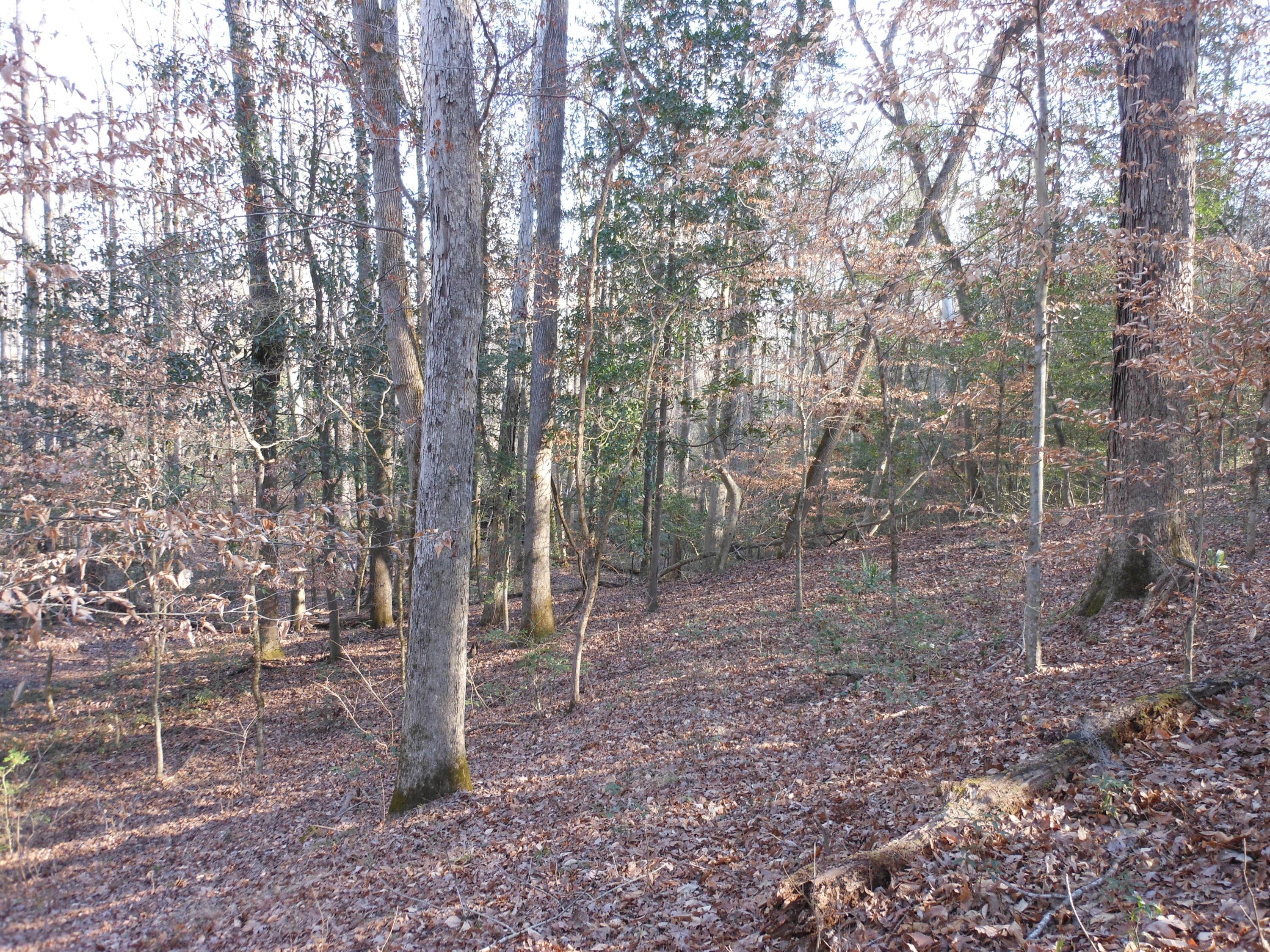 Undeveloped at 0 Ponderosa Road, Waynesboro, GA 30830, photo 27 of 45