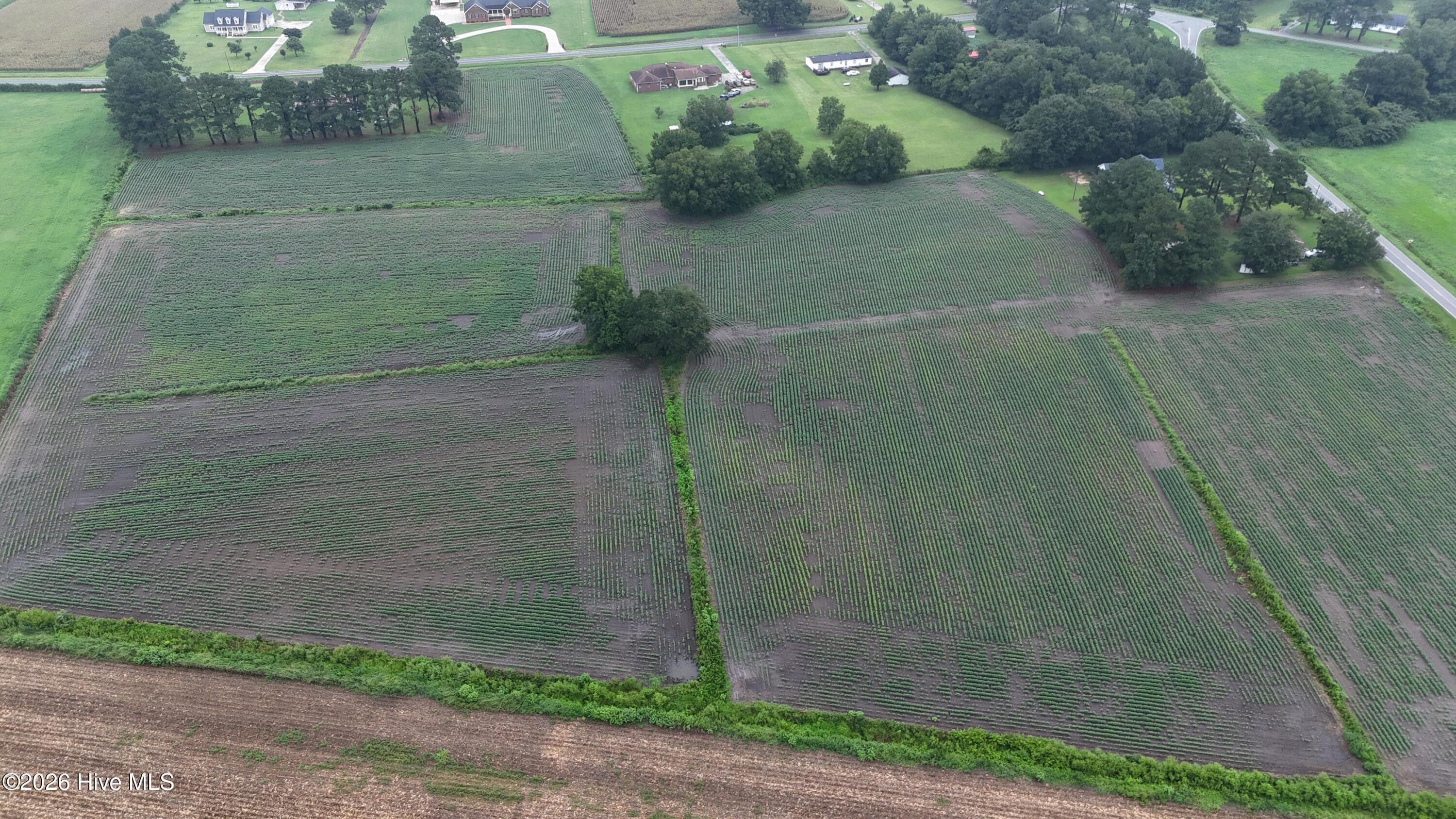 Agriculture at Near 128 Bay Rd., Rose Hill, NC 28458, photo 3 of 21