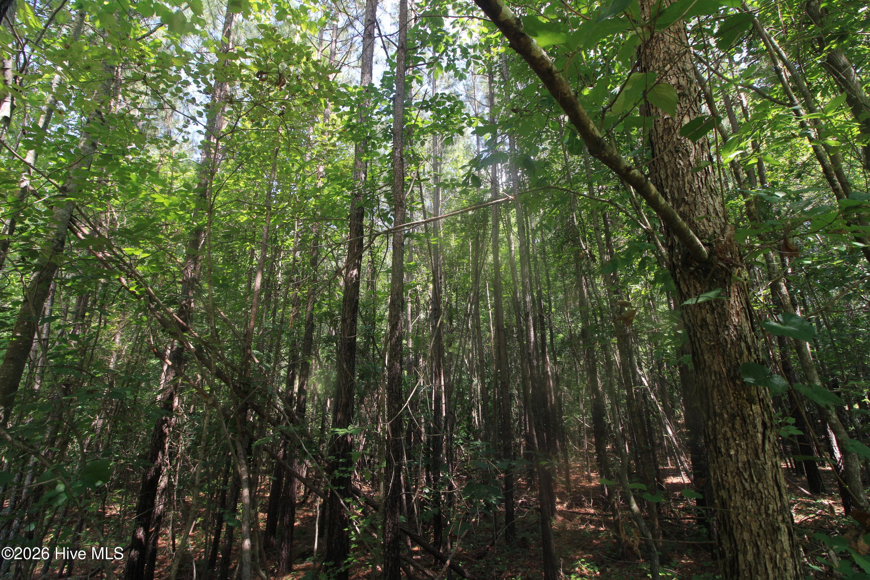 Residential Lot at 0 Crowatan Trail, Carthage, NC 28327, photo 23 of 35
